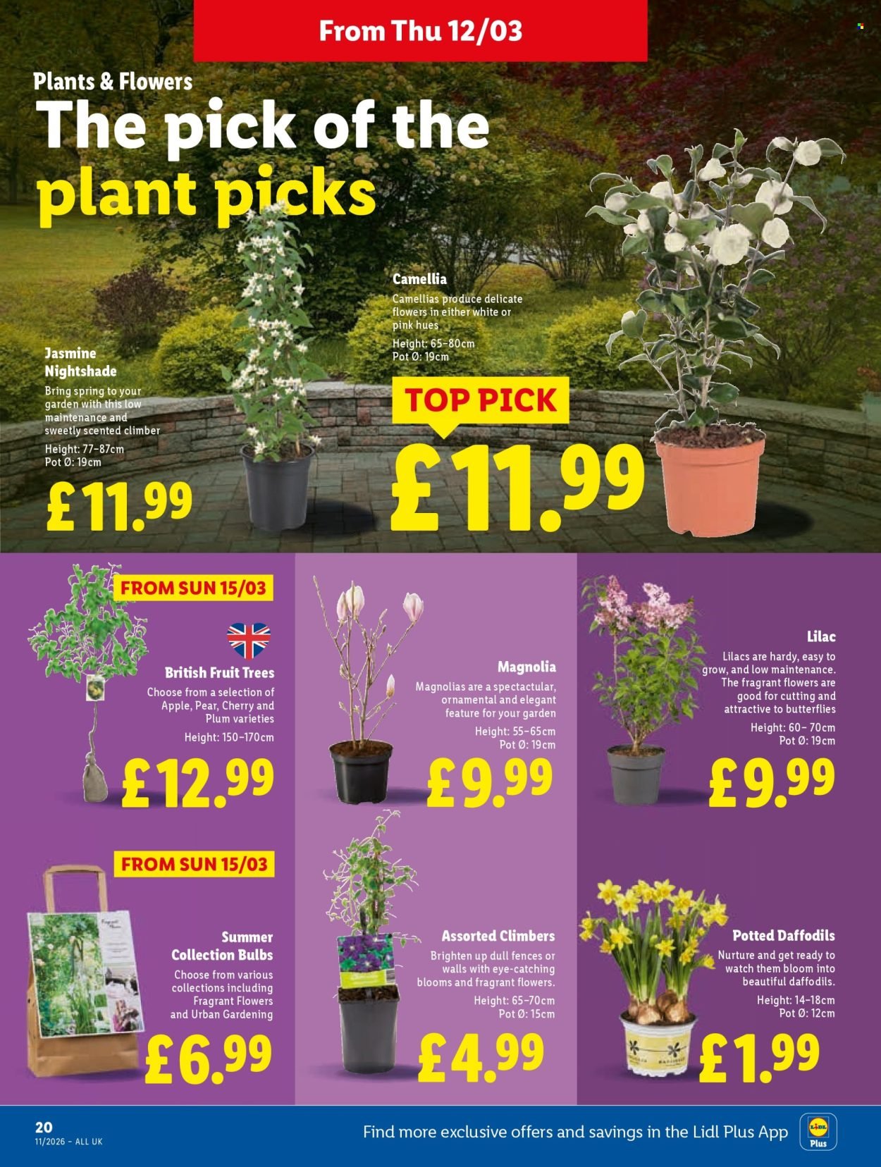 LIDL offer - Local Weekly Leaflet (2026-03-12 - 2026-03-18) | 22