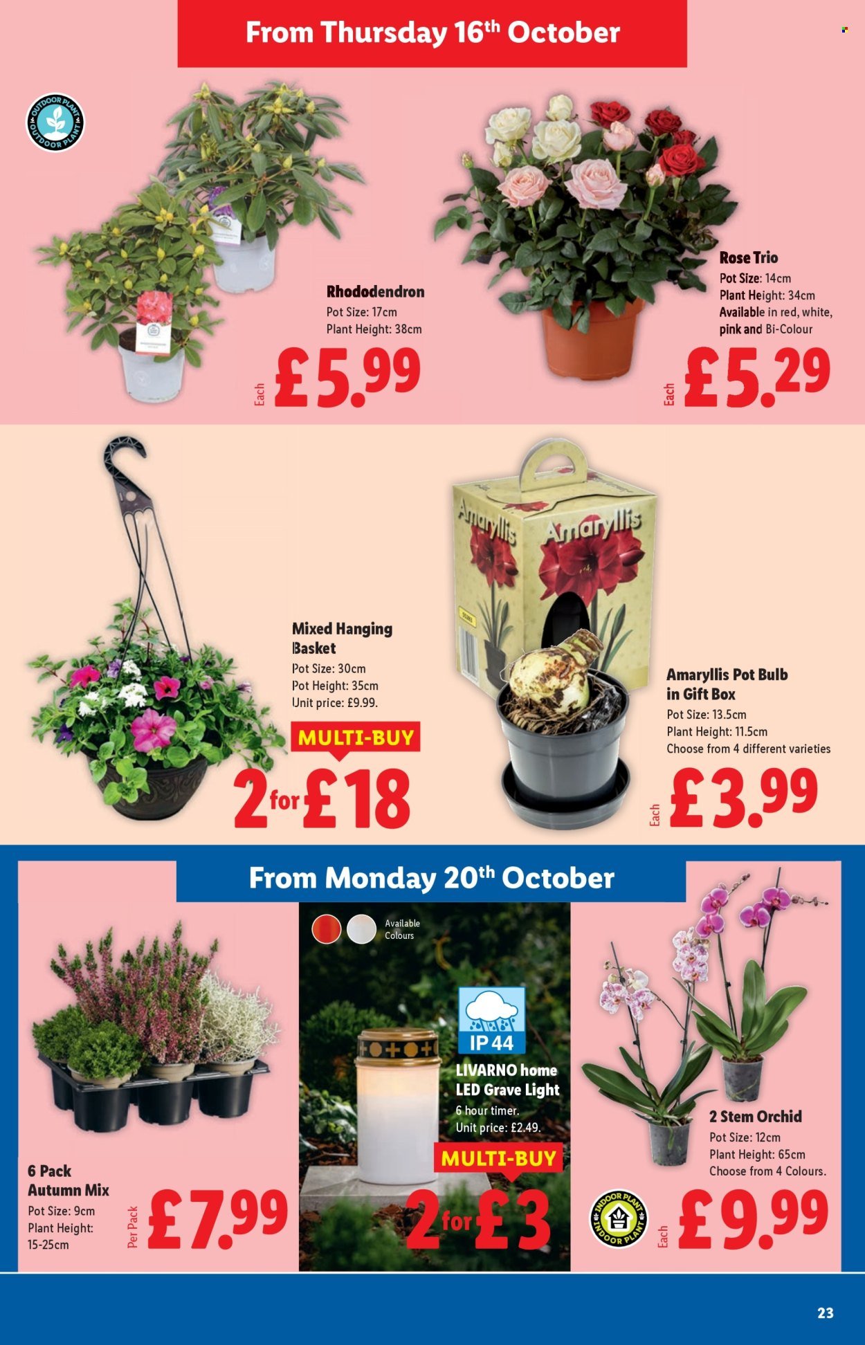 LIDL offer - October (2025-10-16 - 2025-10-22) | 23
