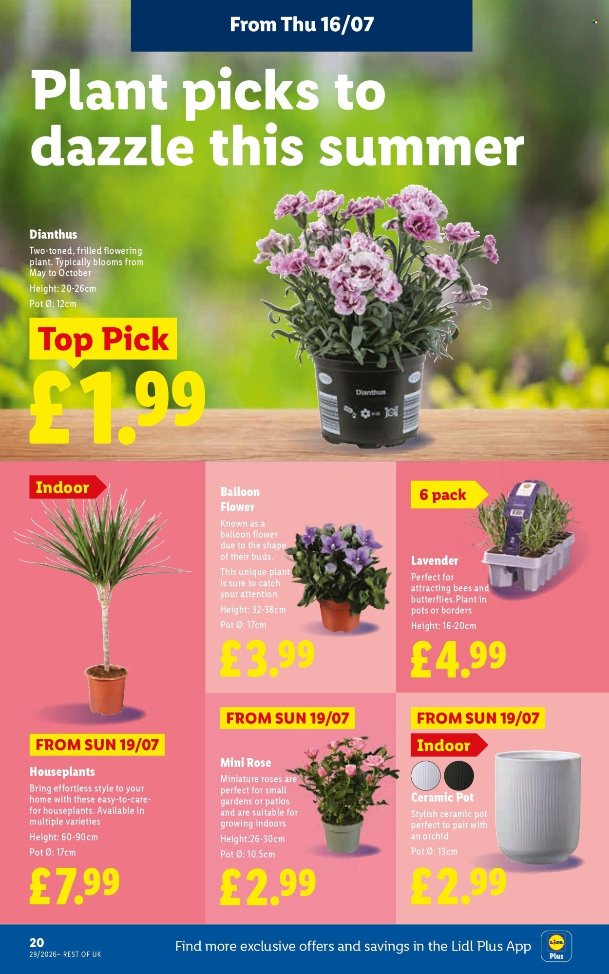 LIDL offer - Local Weekly Leaflet