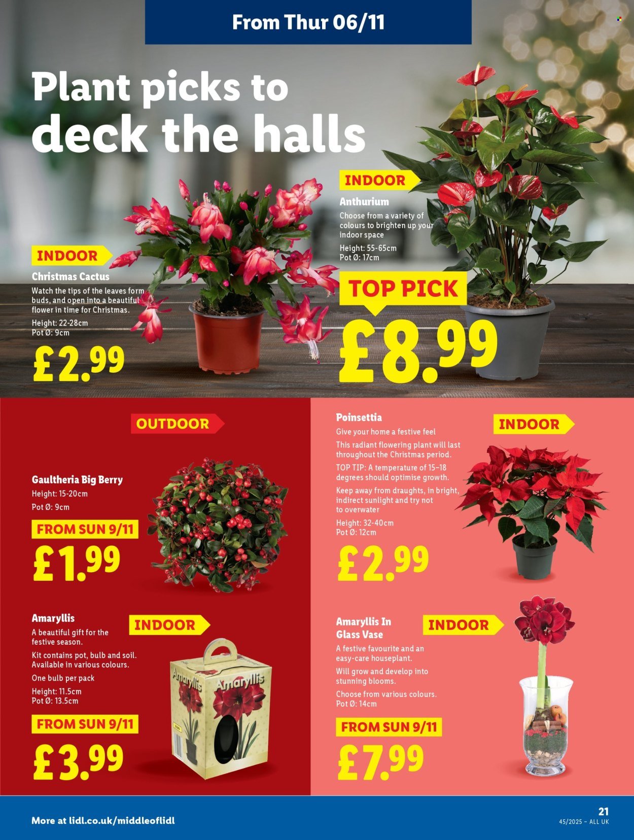 LIDL offer - Local Weekly Leaflet (2025-11-06 - 2025-11-12) | 23