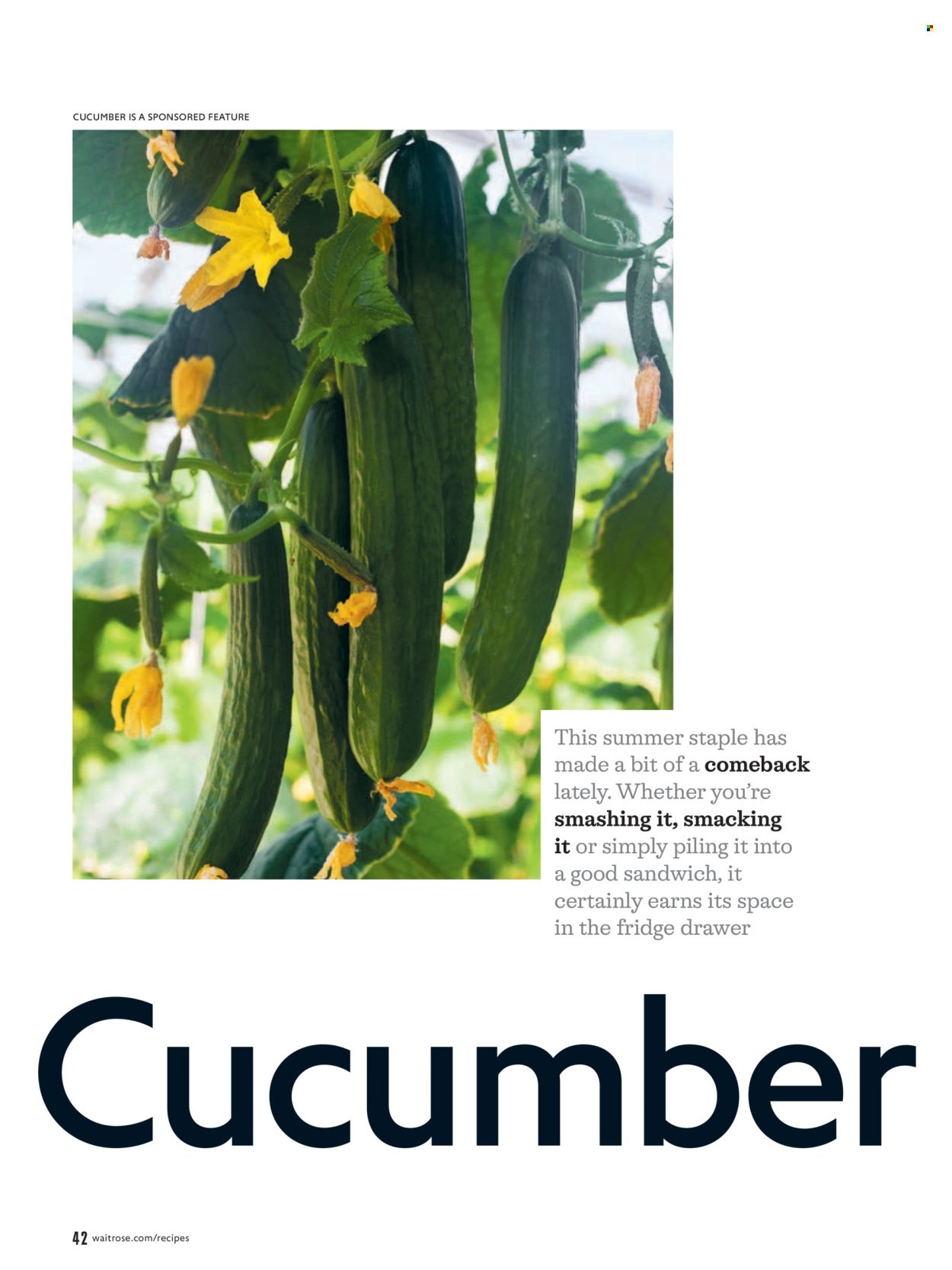 WAITROSE offer - July/August 2026