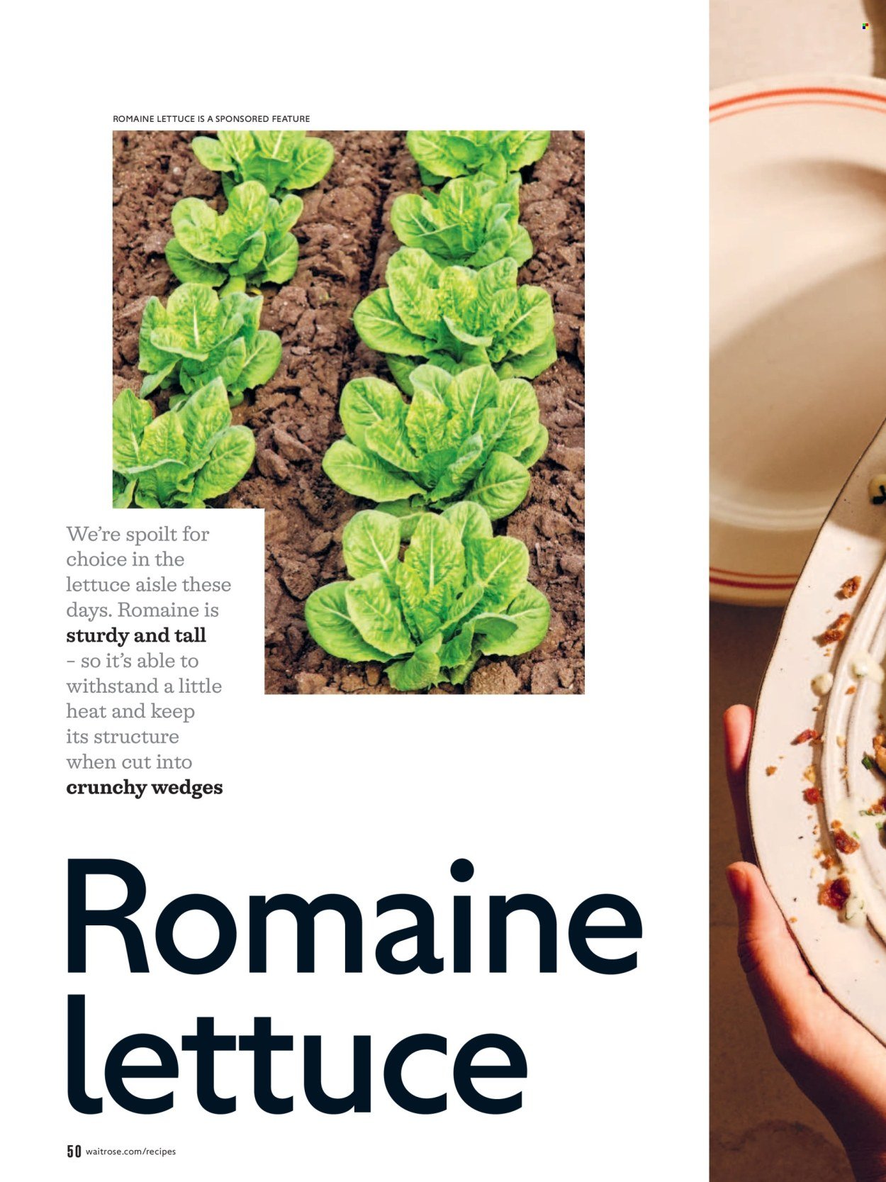 WAITROSE offer - July/August 2026