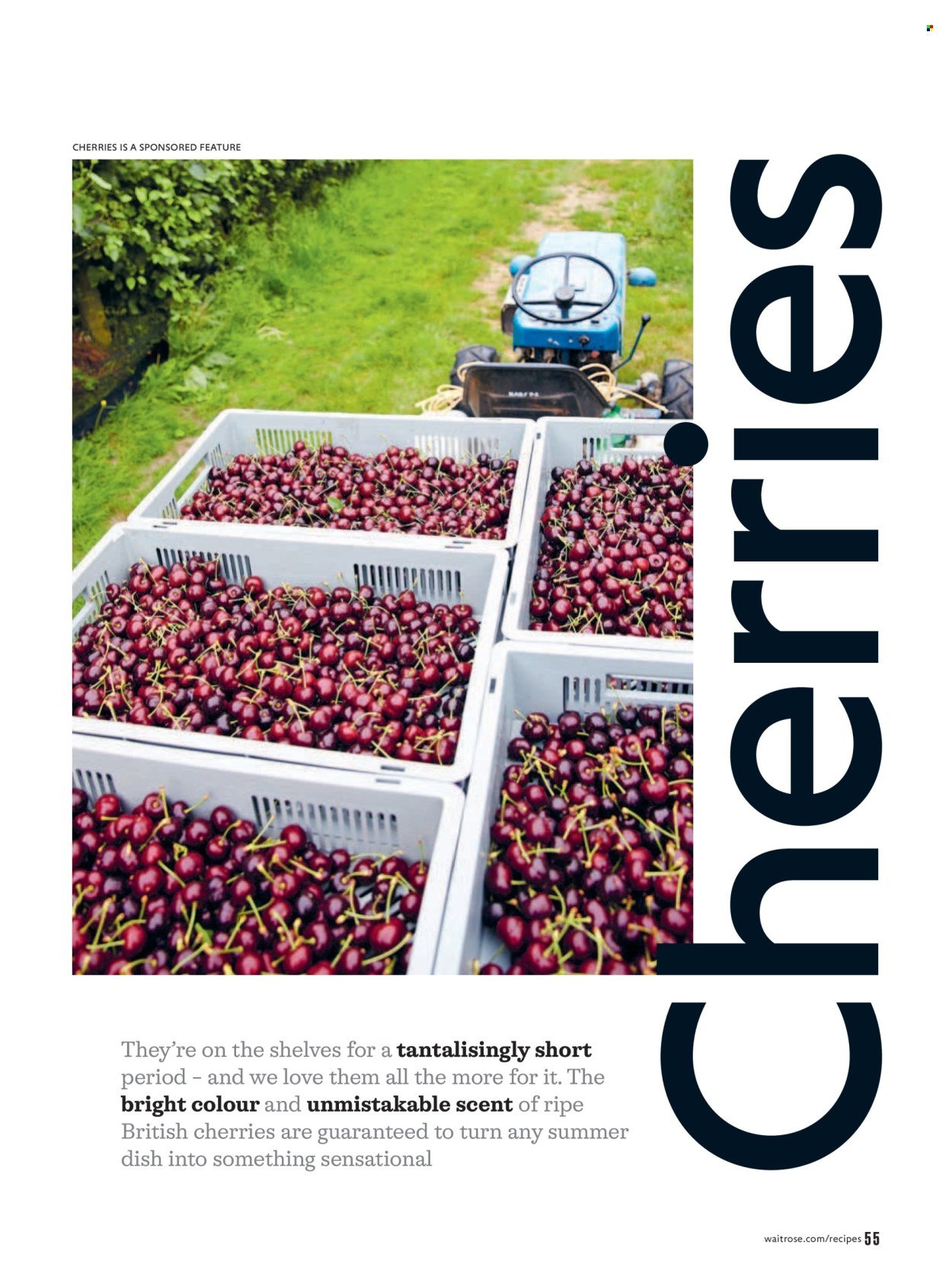 WAITROSE offer - July/August 2026