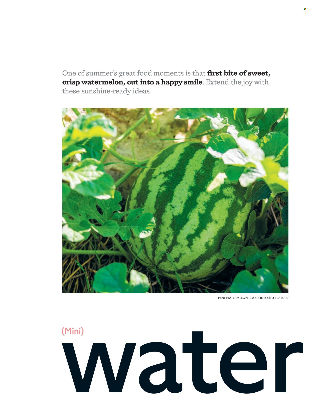 WAITROSE offer - July/August 2026