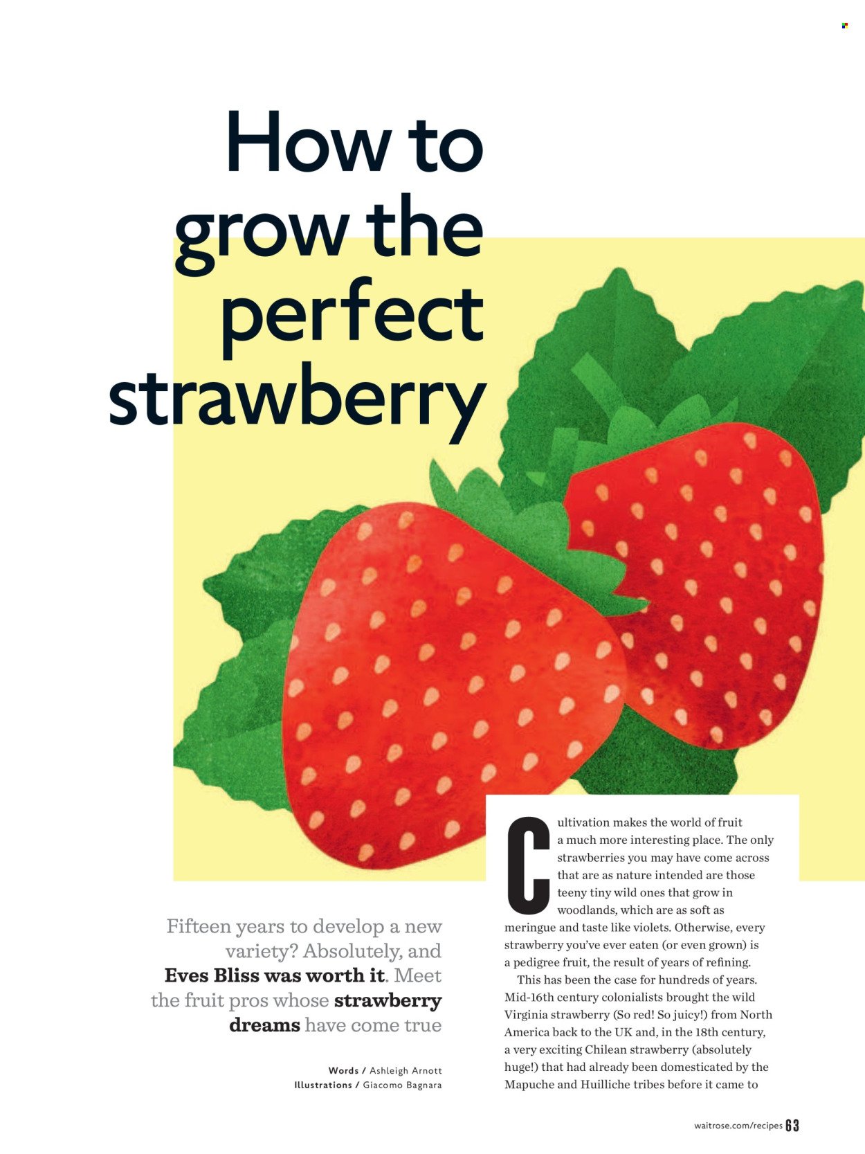WAITROSE offer - July/August 2026