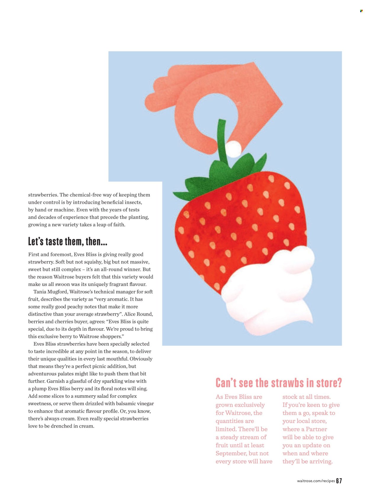 WAITROSE offer - July/August 2026