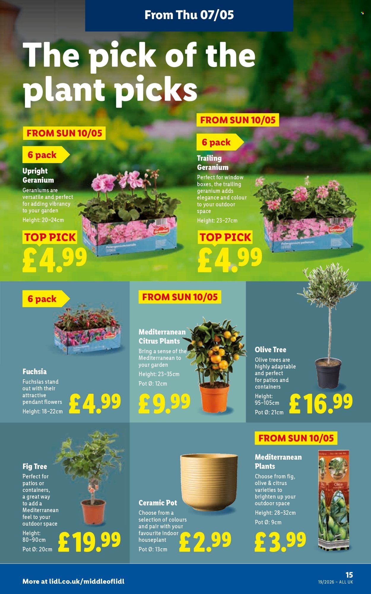 LIDL offer - Local Weekly Leaflet (2026-05-07 - 2026-05-13) | 17