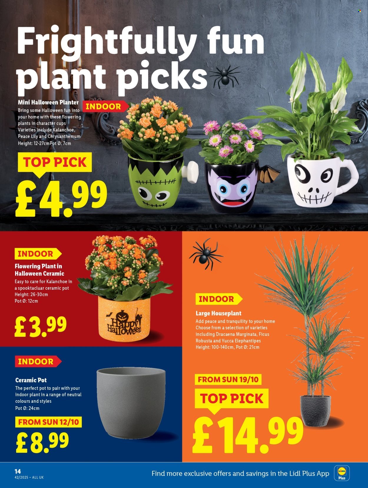 LIDL offer - Local Weekly Leaflet (2025-10-16 - 2025-10-22) | 14