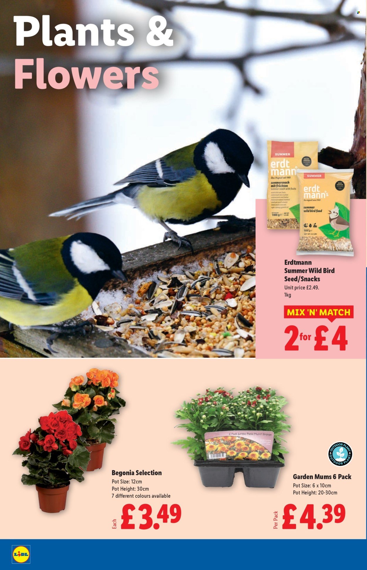 LIDL offer - July 2025 (2025-07-31 - 2025-08-06) | 22