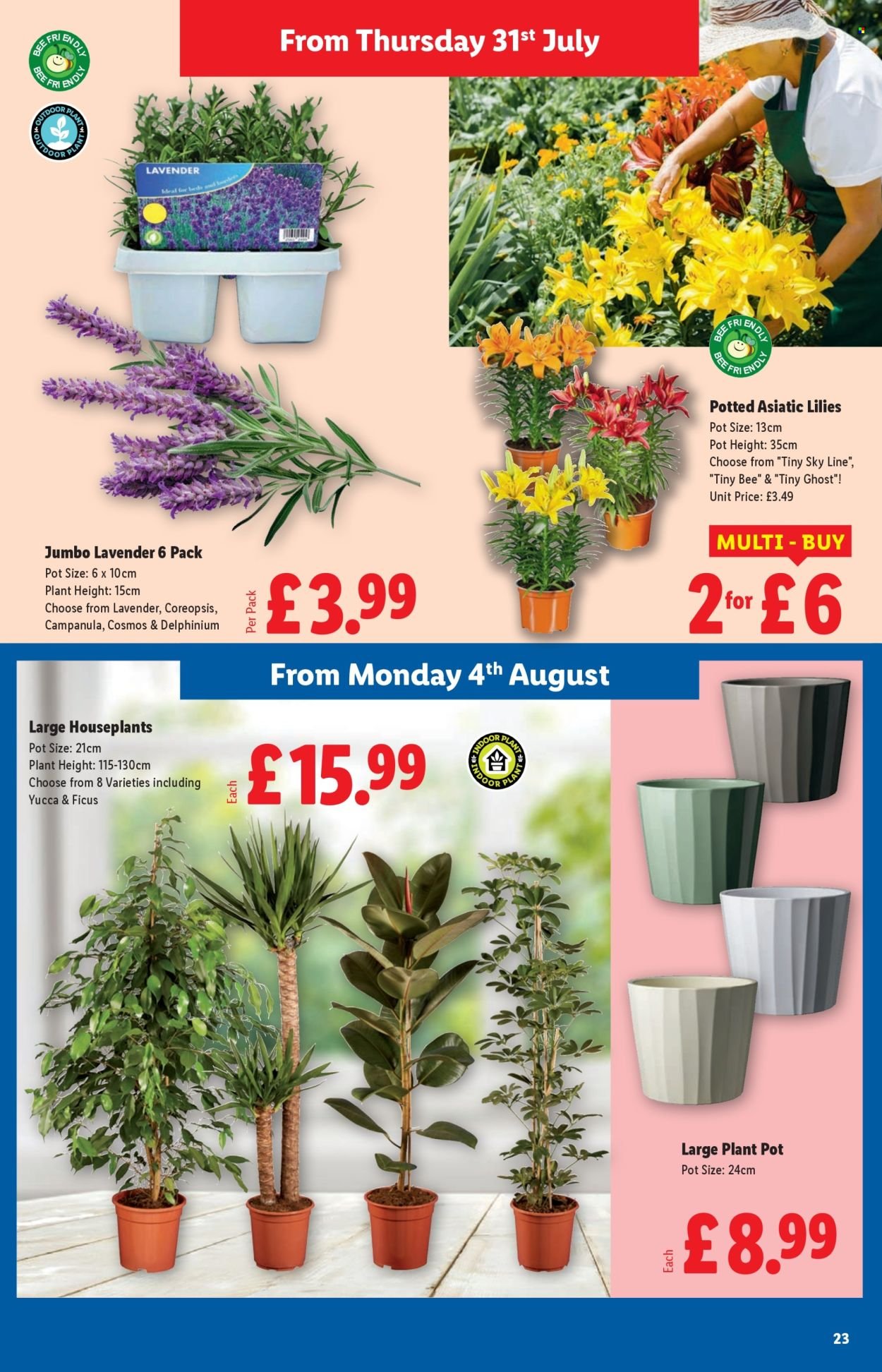 LIDL offer - July 2025 (2025-07-31 - 2025-08-06) | 23