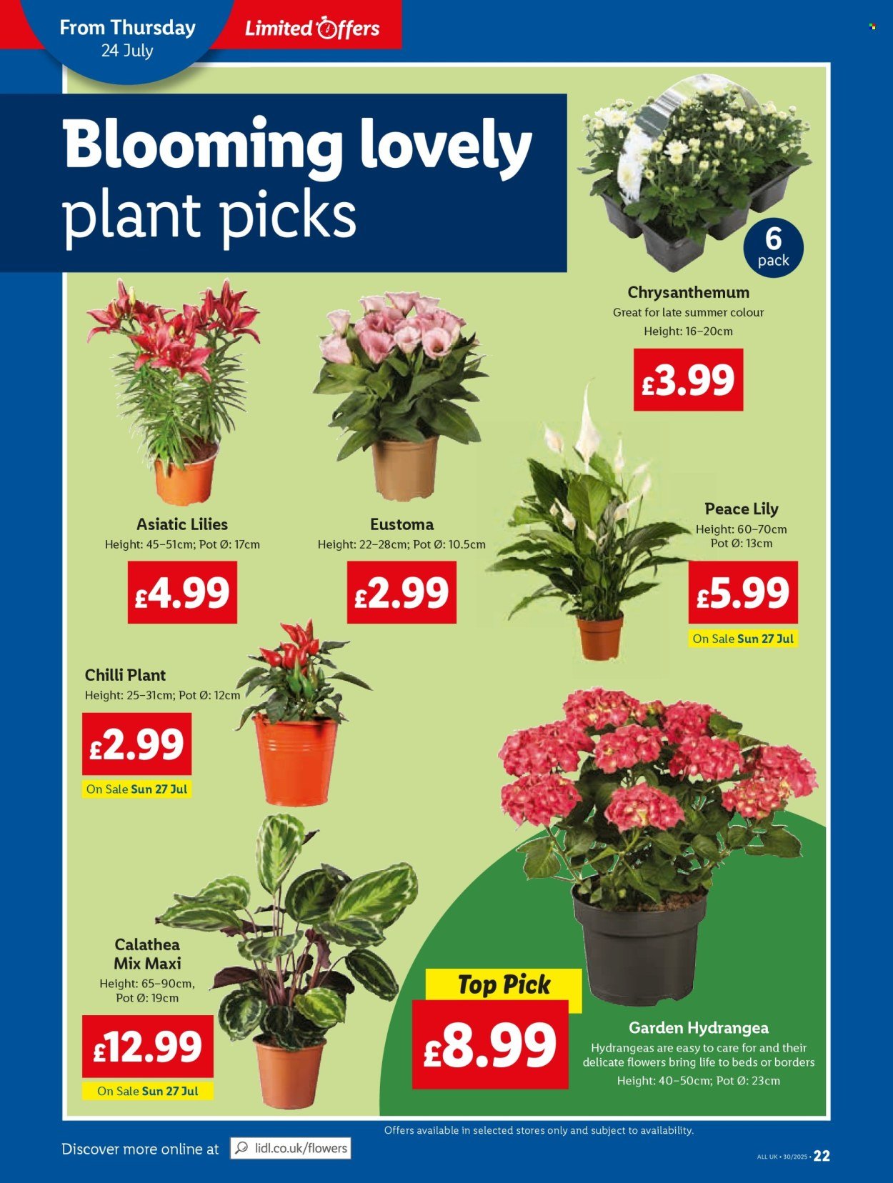 LIDL offer - Local Weekly Leaflet (2025-07-24 - 2025-07-30) | 22
