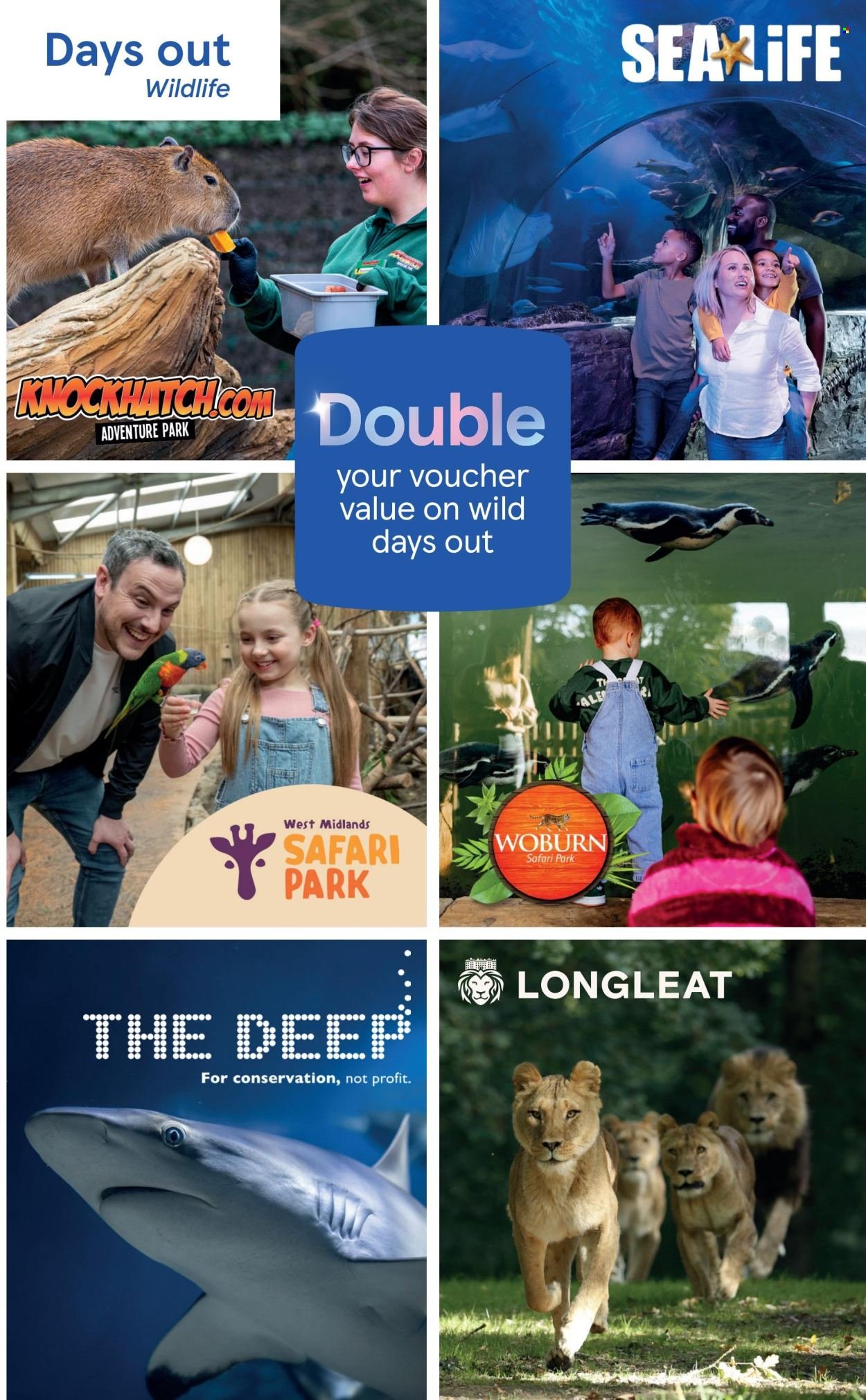TESCO offer - Brochure Summer 2026