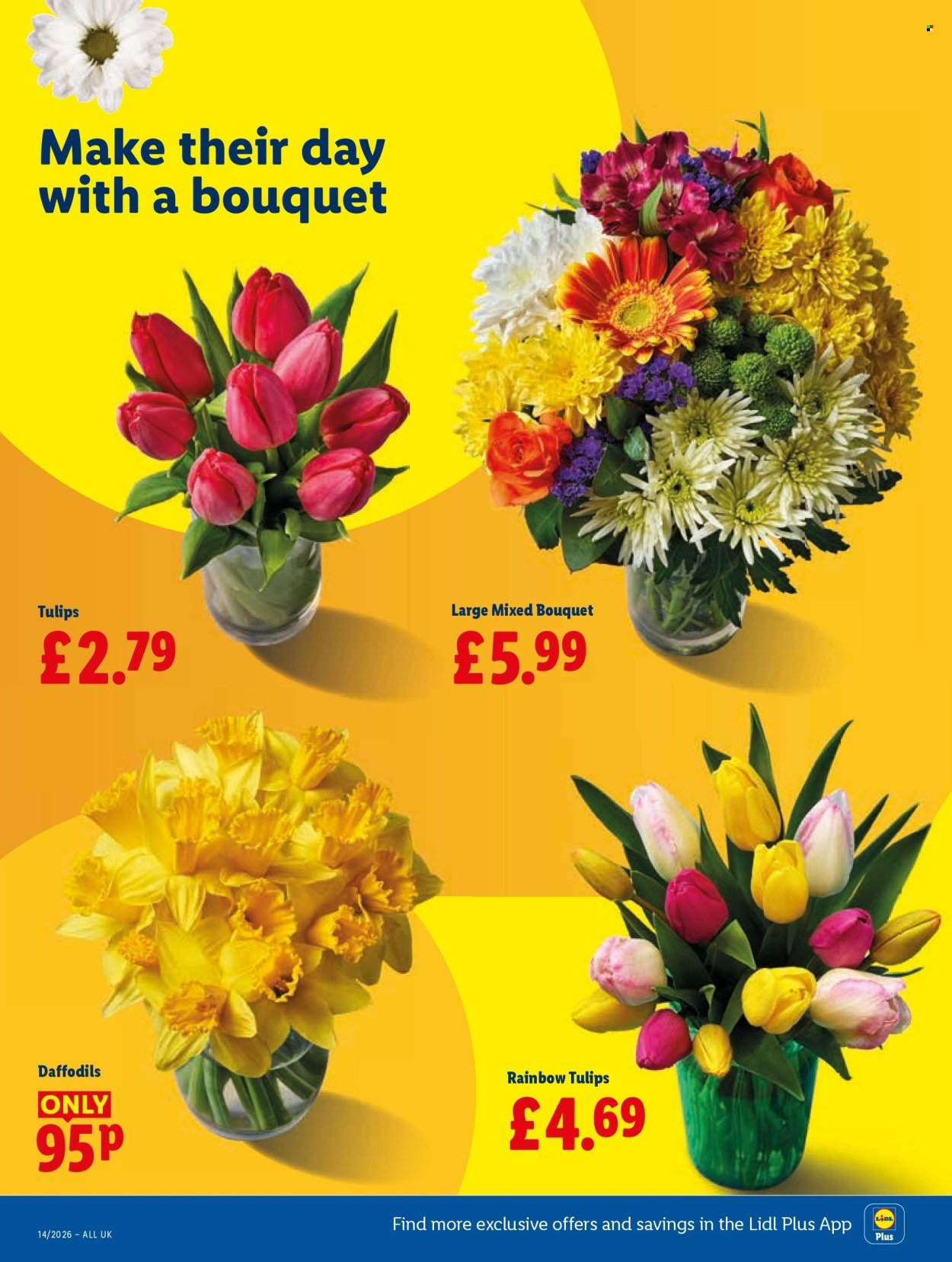 LIDL offer - Local Weekly Leaflet (2026-04-02 - 2026-04-08) | 28