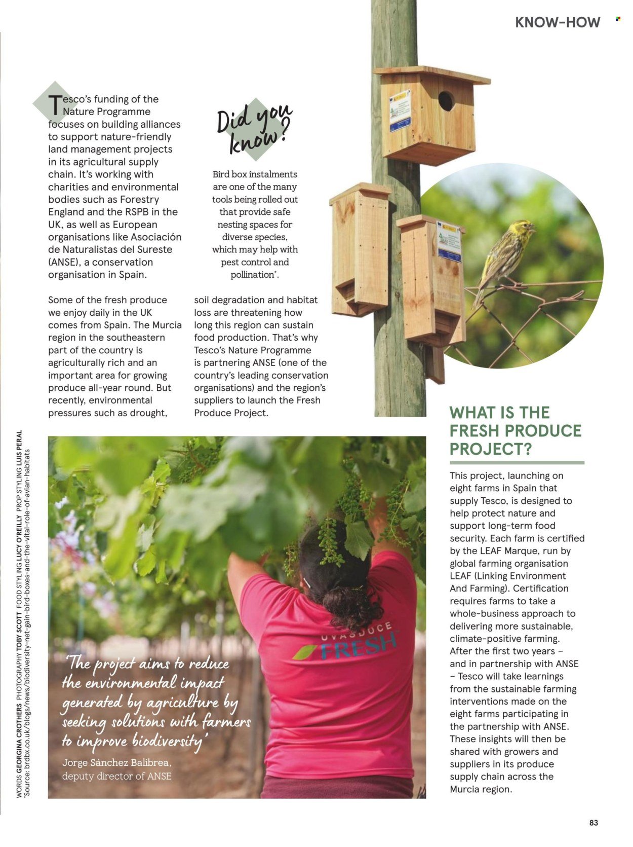 TESCO offer - From 1 Nov 2025 (2025-11-01 - 2025-11-30) | 83