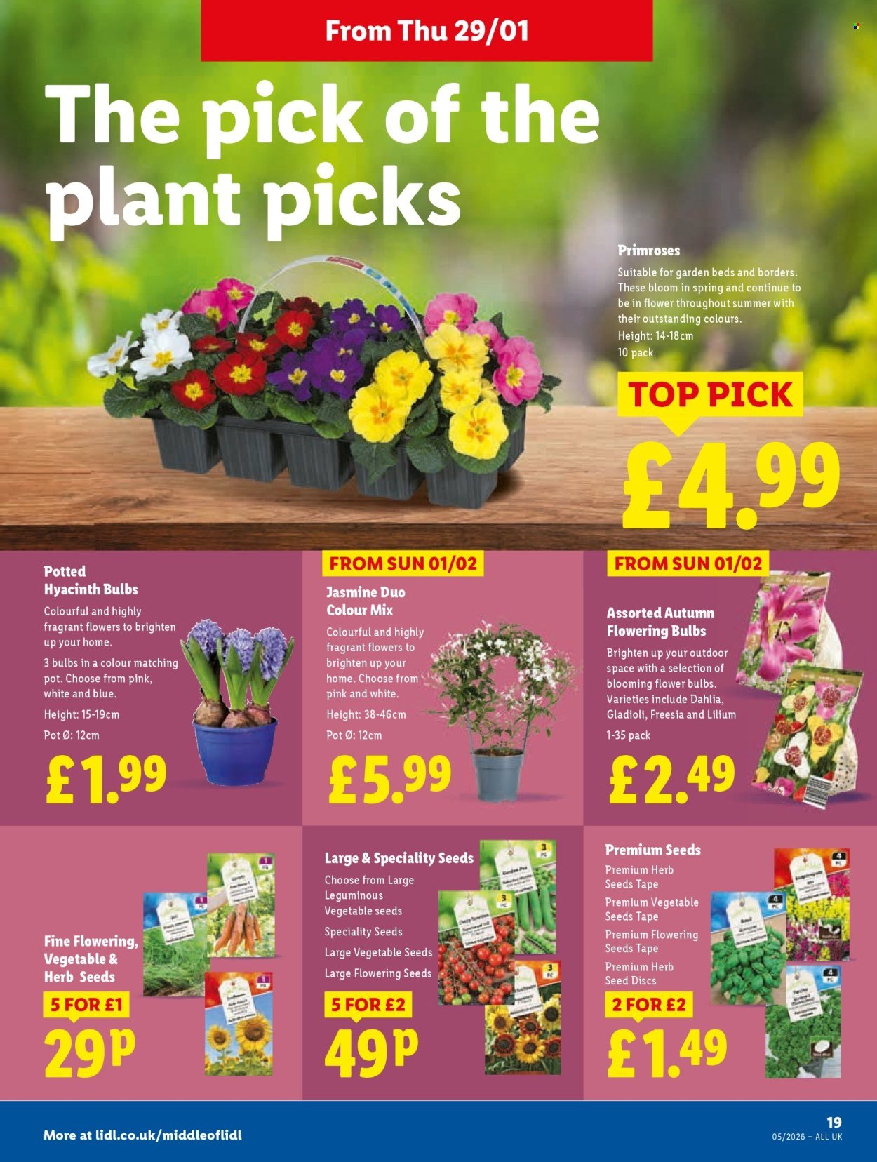 LIDL offer - Local Weekly Leaflet (2026-01-29 - 2026-02-04) | 21