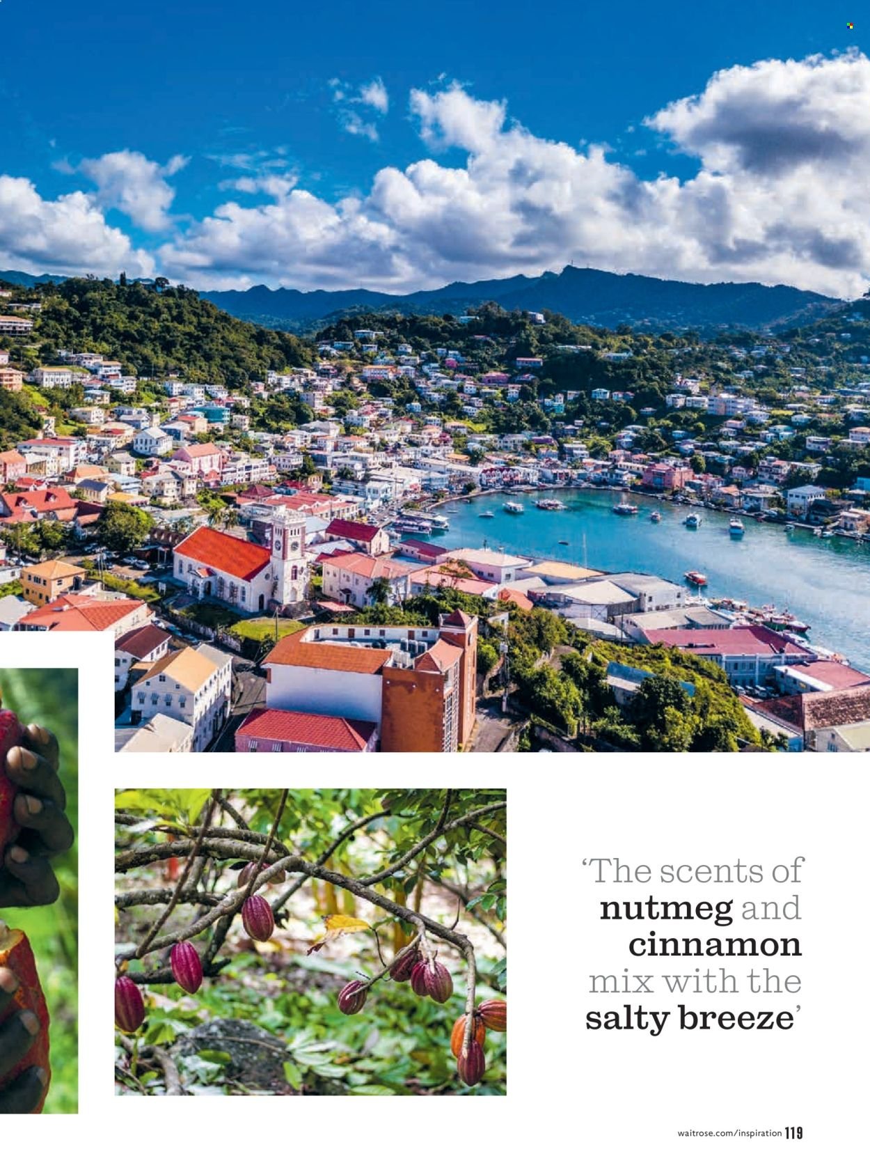 WAITROSE offer - January 2026 (2026-01-01 - 2026-01-31) | 119