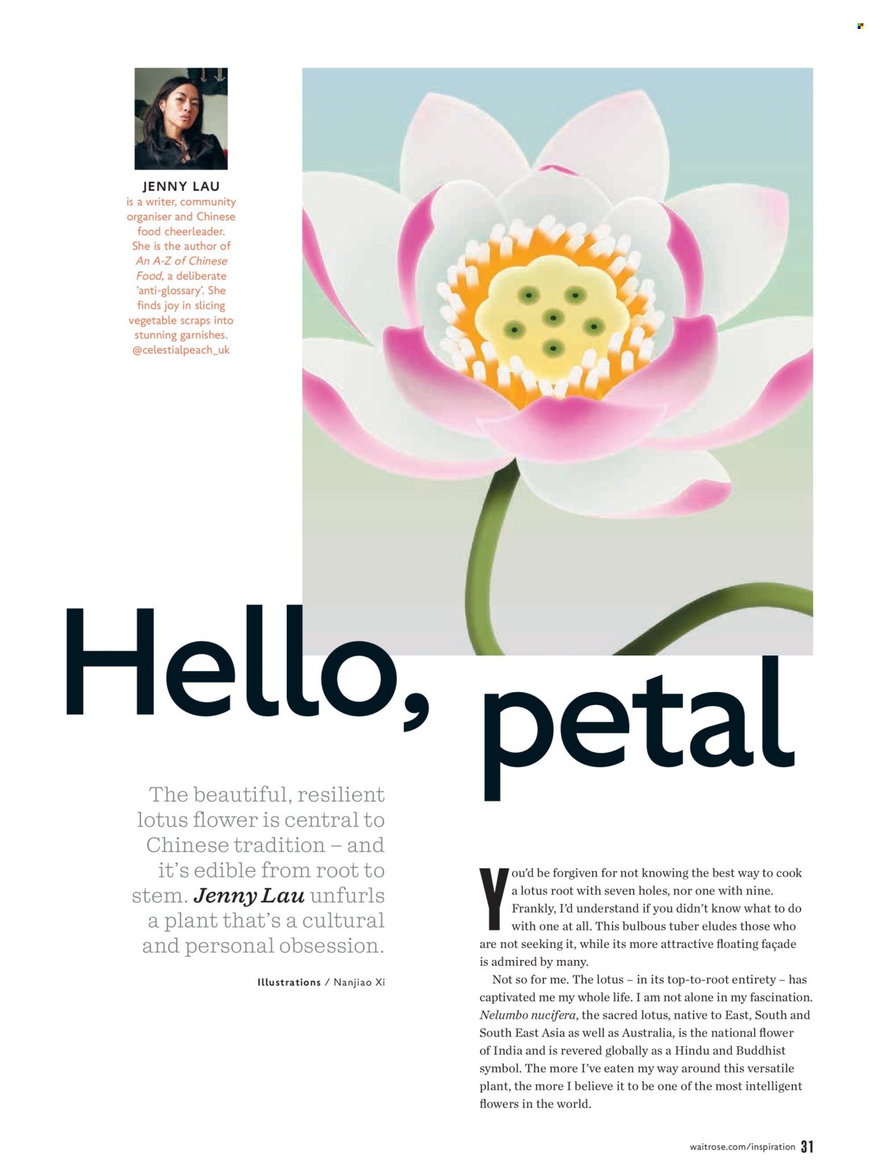 WAITROSE offer - January 2026 (2026-01-01 - 2026-01-31) | 31