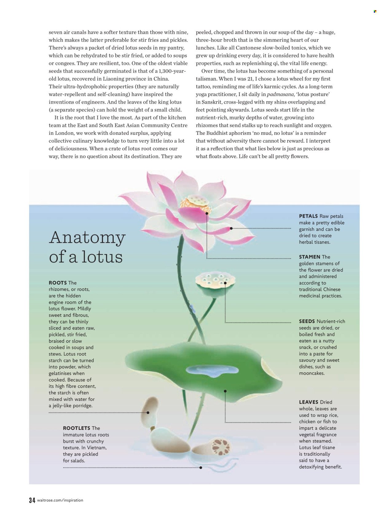 WAITROSE offer - January 2026 (2026-01-01 - 2026-01-31) | 34