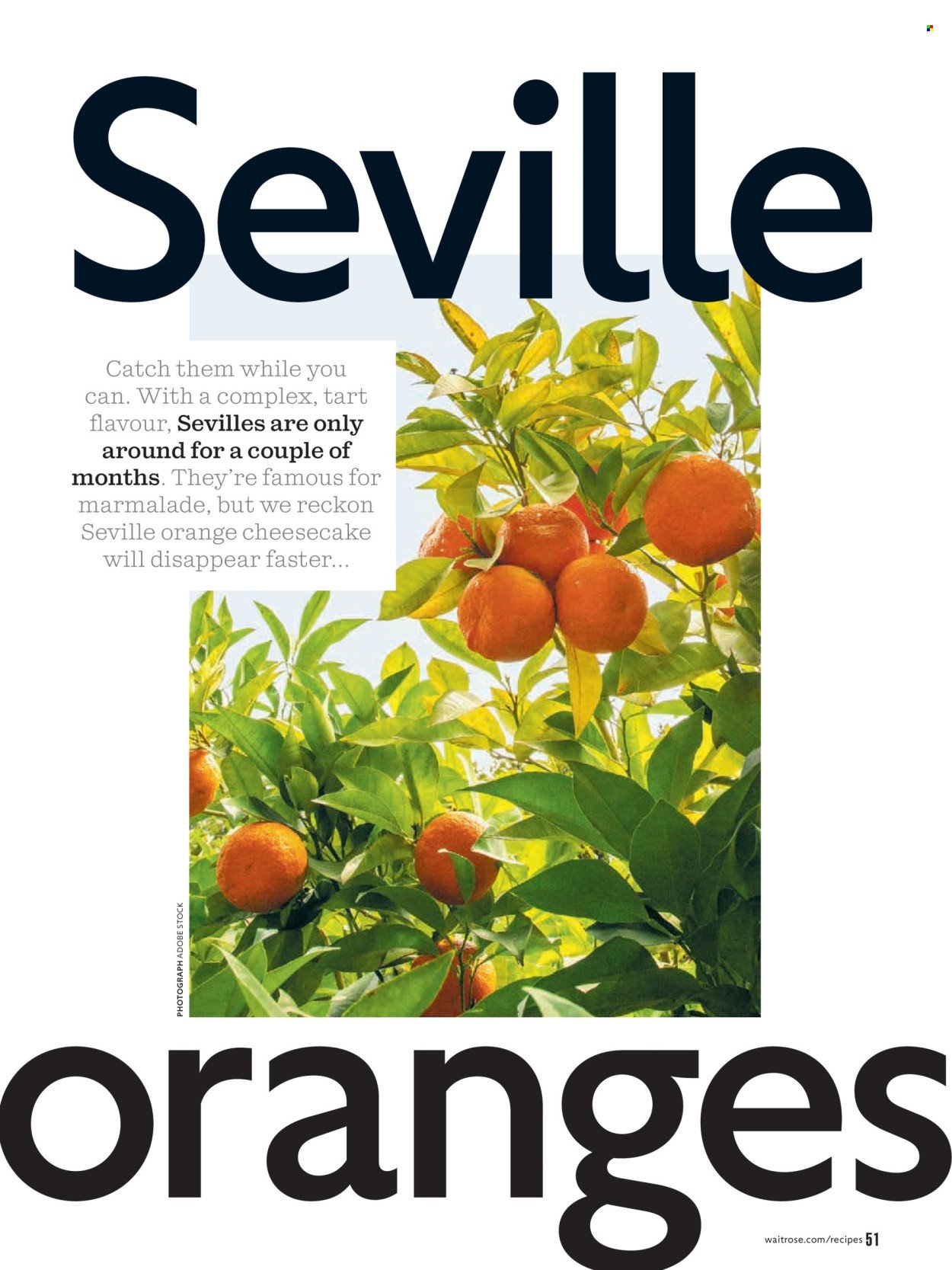 WAITROSE offer - January 2026 (2026-01-01 - 2026-01-31) | 51