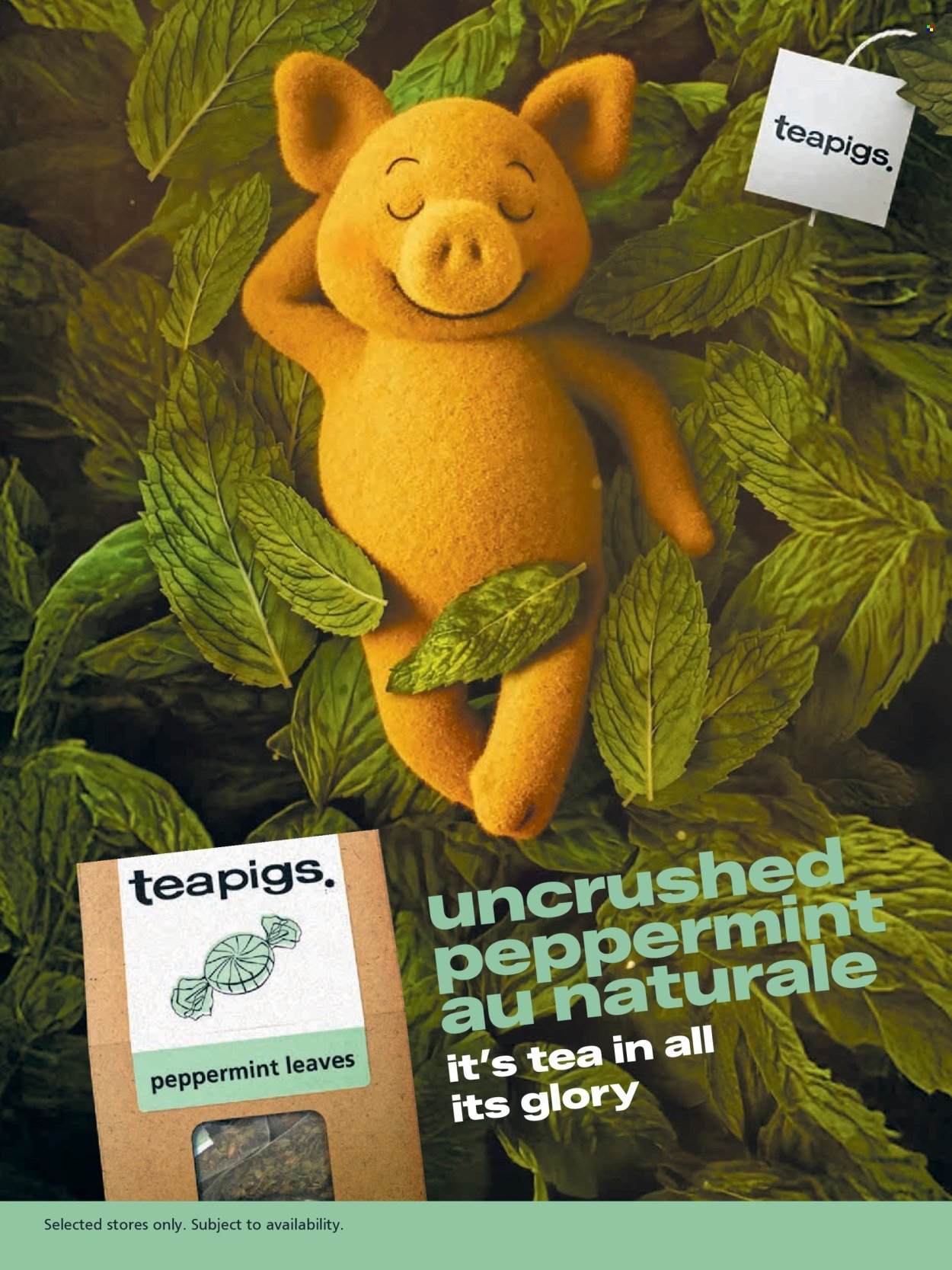 WAITROSE offer - January 2026 (2026-01-01 - 2026-01-31) | 81