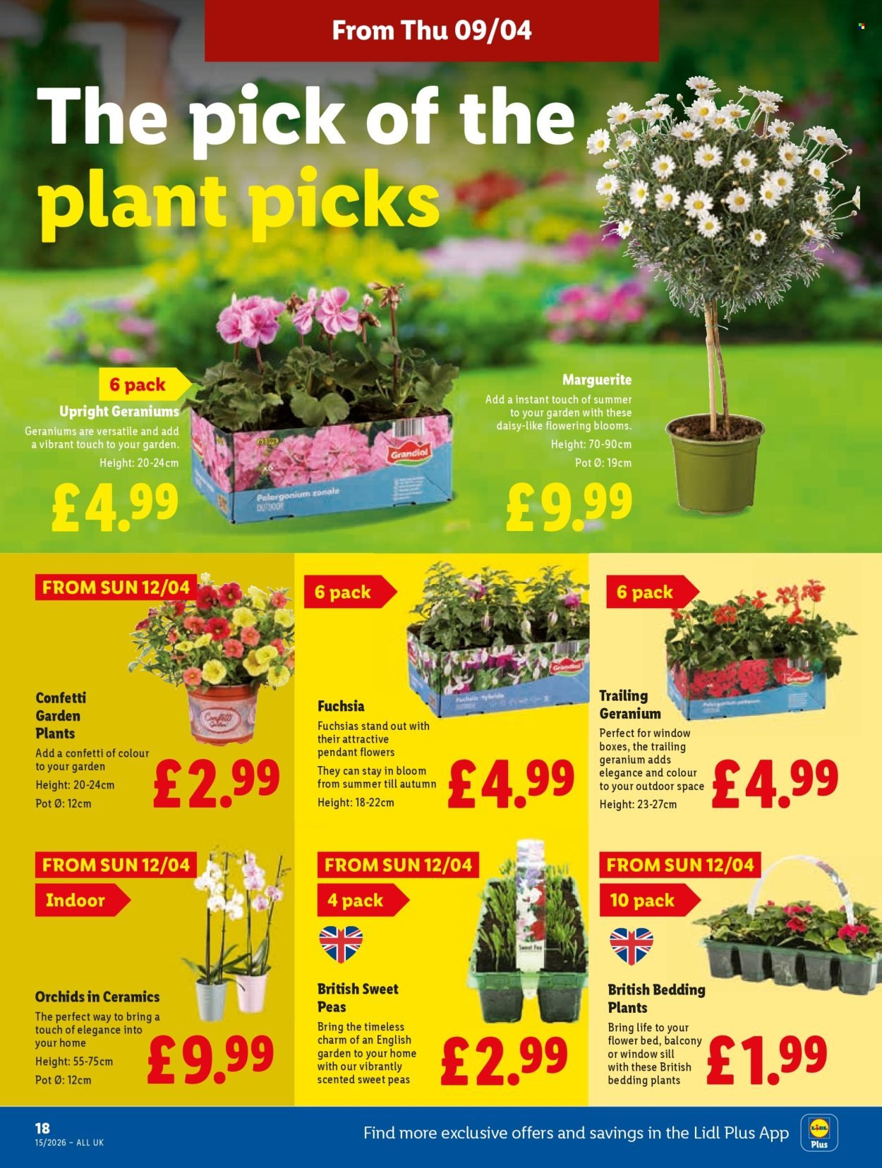 LIDL offer - Local Weekly Leaflet (2026-04-09 - 2026-04-15) | 20