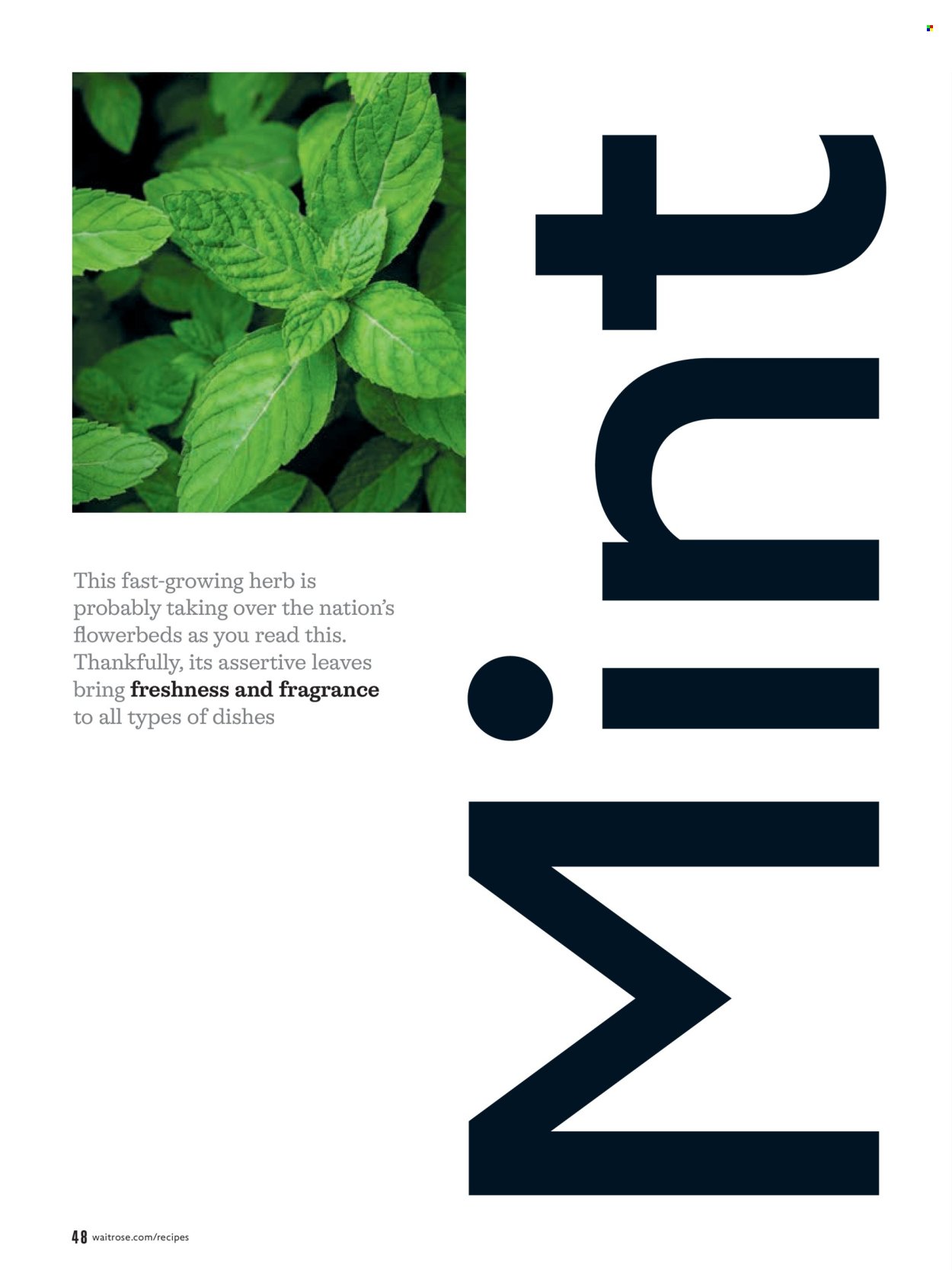 WAITROSE offer - May 2026 (2026-05-01 - 2026-05-31) | 48