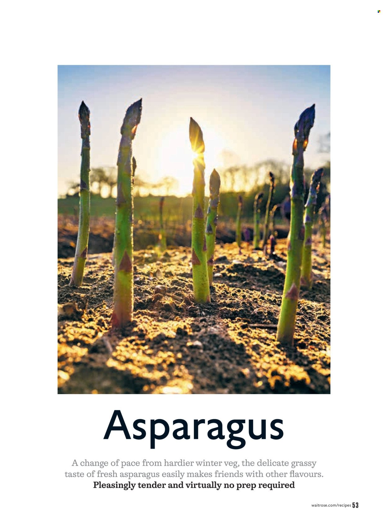 WAITROSE offer - May 2026 (2026-05-01 - 2026-05-31) | 53
