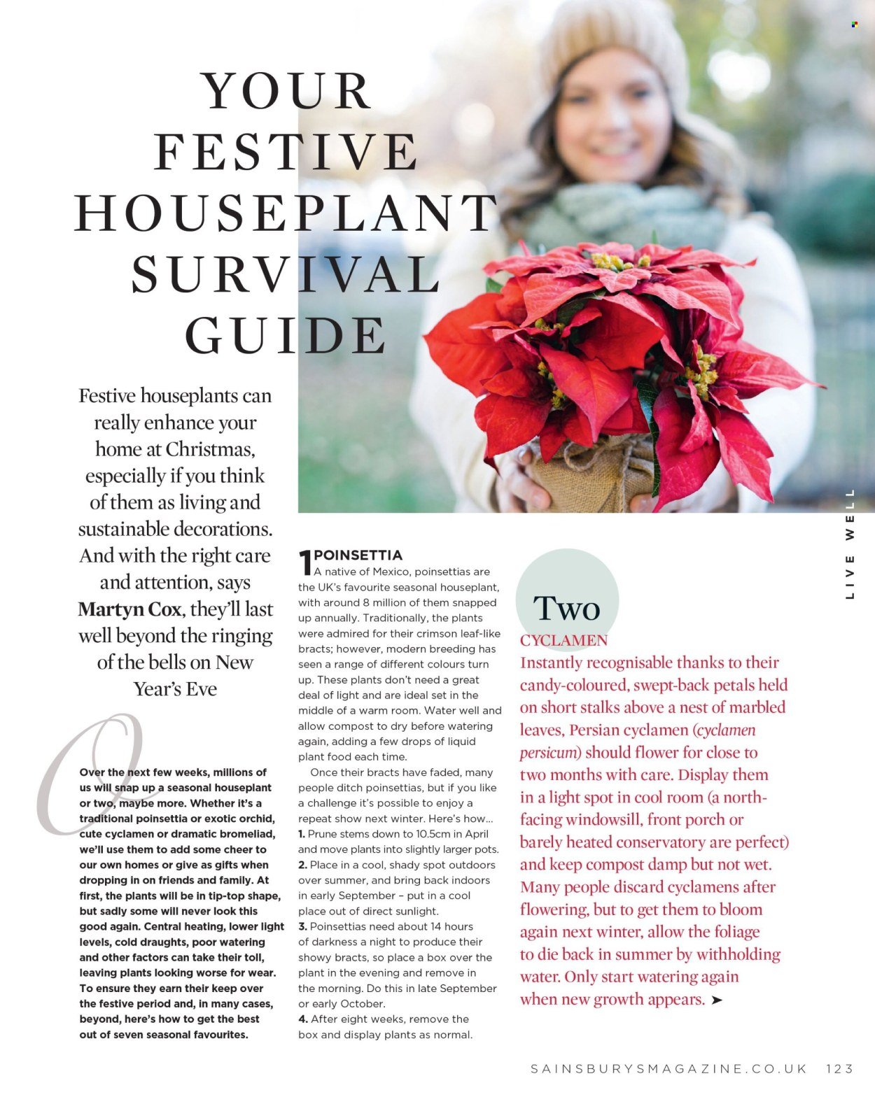 SAINSBURY'S offer - Home for Christmas (2025-11-01 - 2025-11-30) | 123