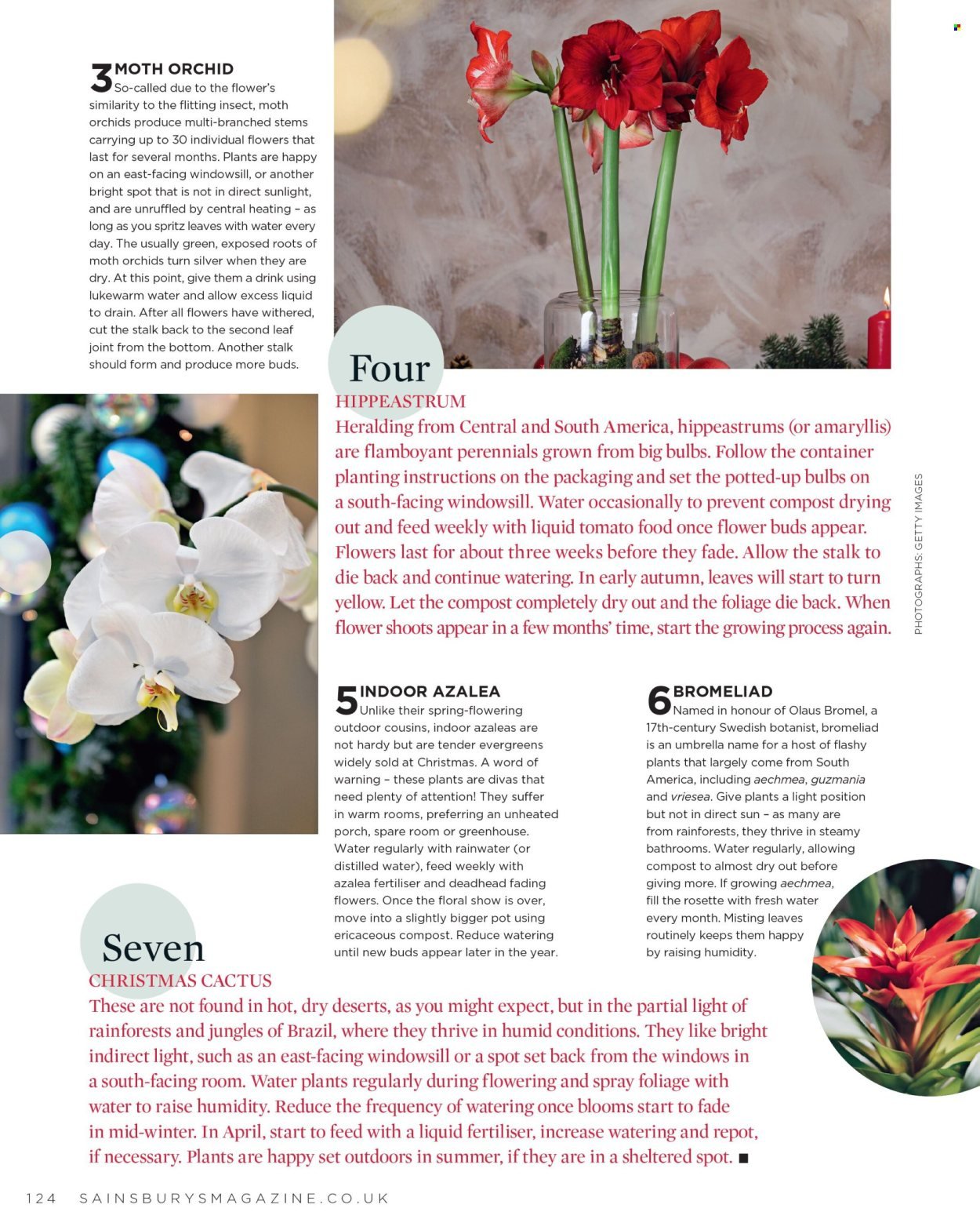 SAINSBURY'S offer - Home for Christmas (2025-11-01 - 2025-11-30) | 124