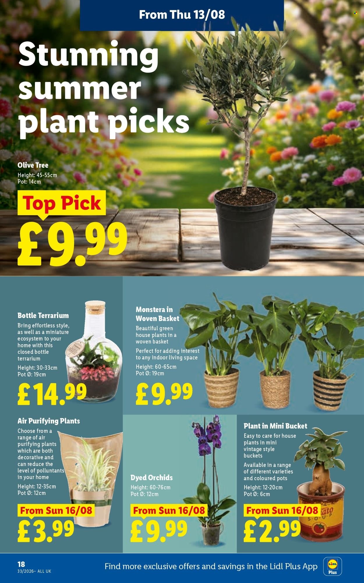 LIDL offer - Local Weekly Leaflet