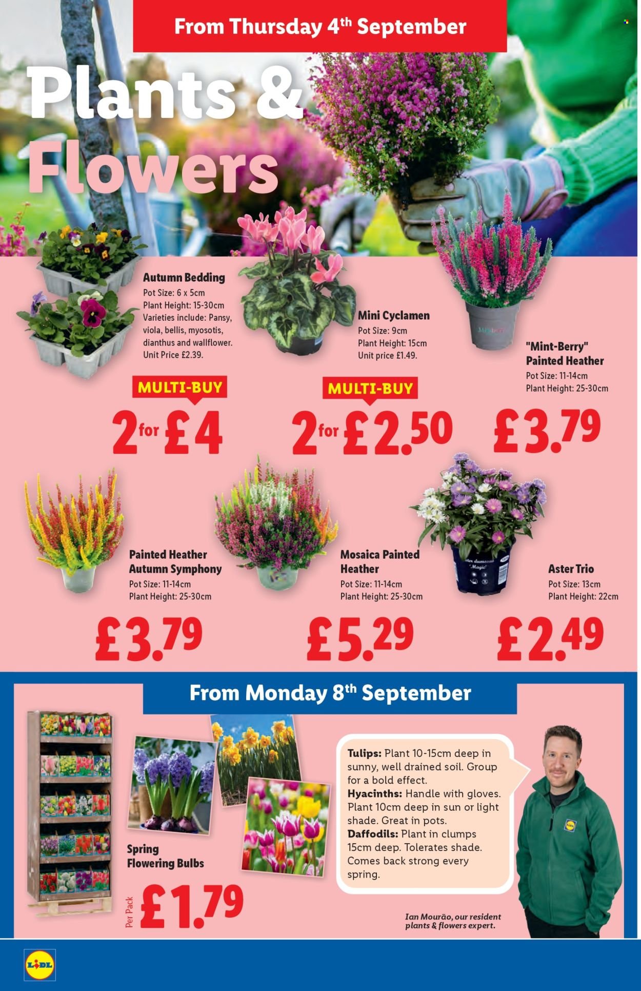 LIDL offer - September (2025-09-04 - 2025-09-10) | 24