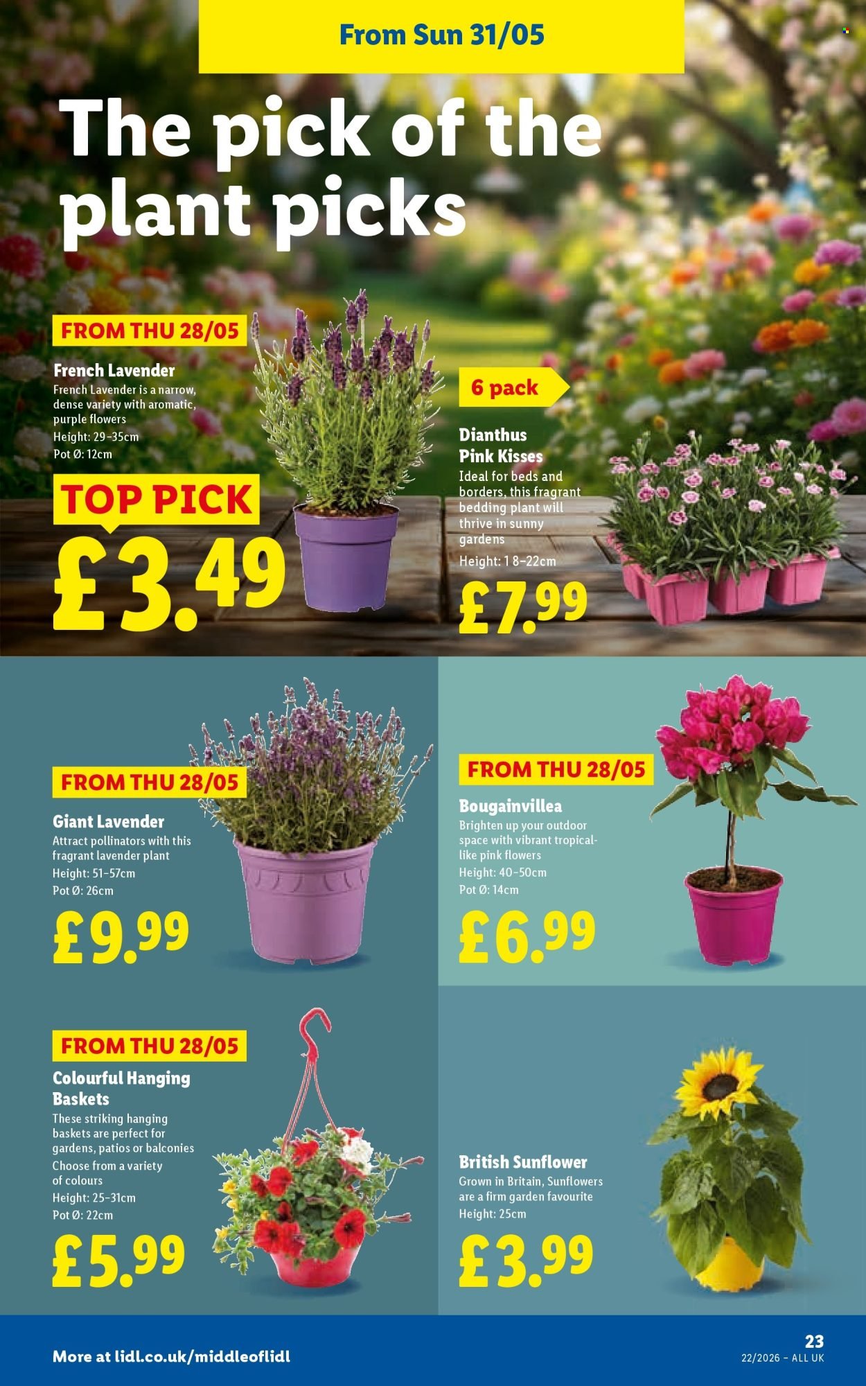 LIDL offer - Local Weekly Leaflet (2026-05-28 - 2026-06-03) | 23