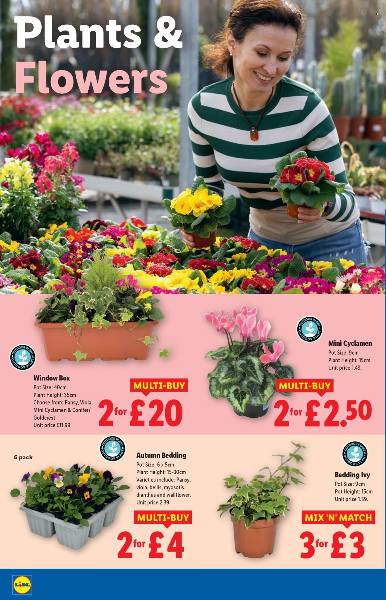 LIDL offer - August 2025 (2025-08-21 - 2025-08-27) | 22