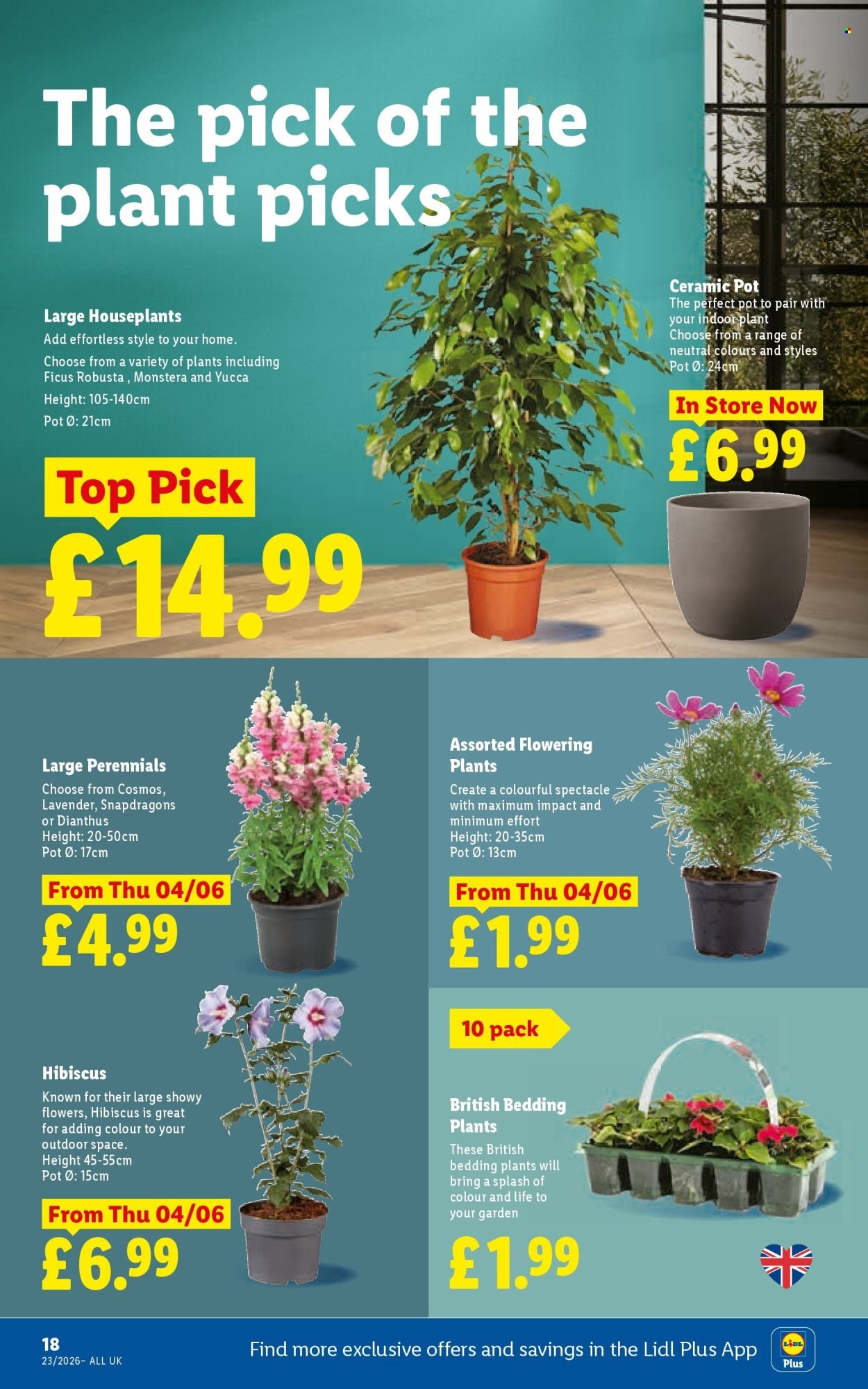 LIDL offer - Local Weekly Leaflet