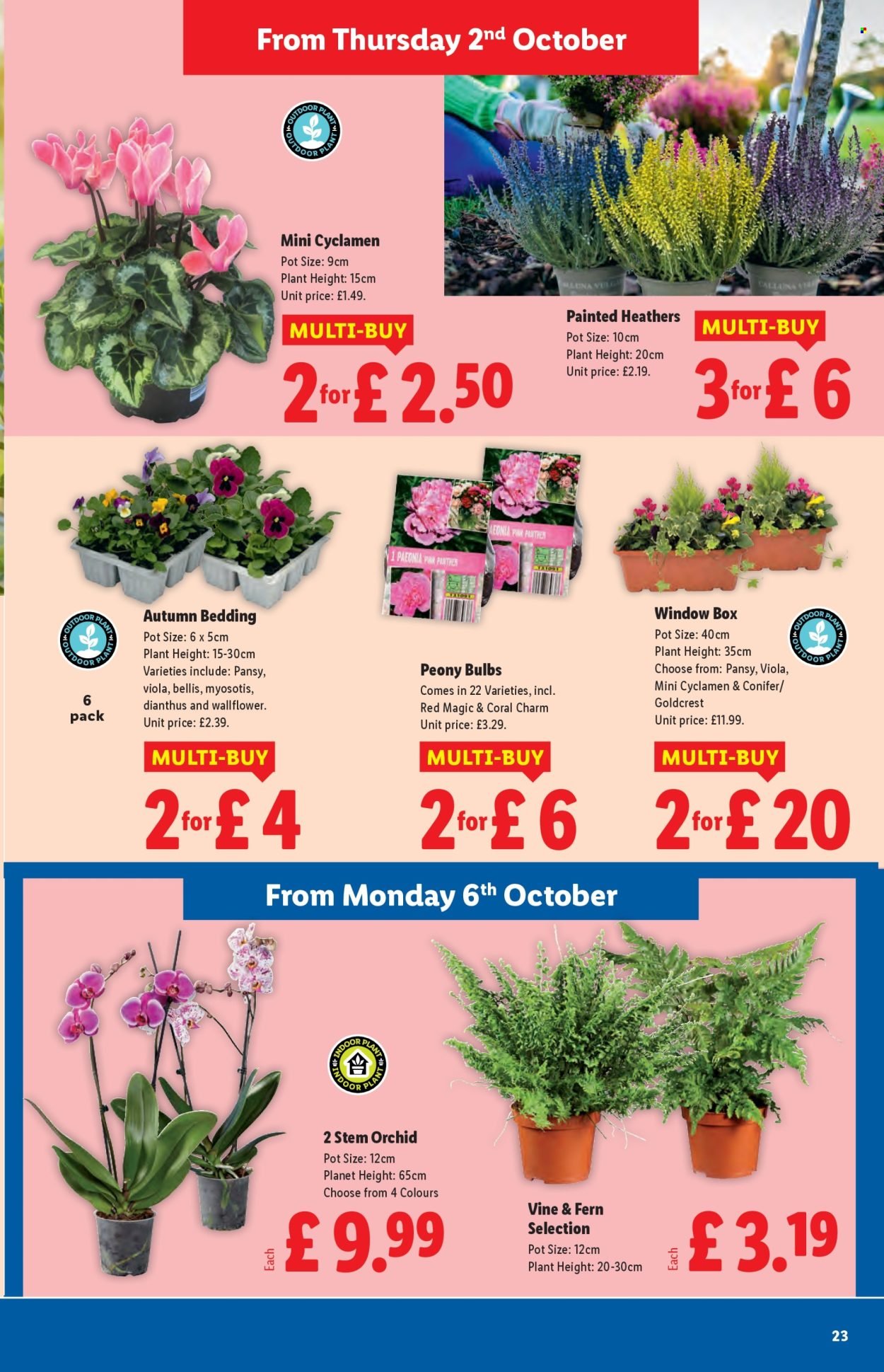 LIDL offer - October (2025-10-02 - 2025-10-08) | 23