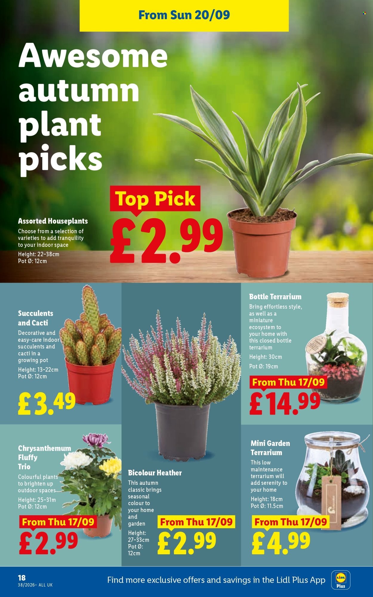 LIDL offer - Local Weekly Leaflet