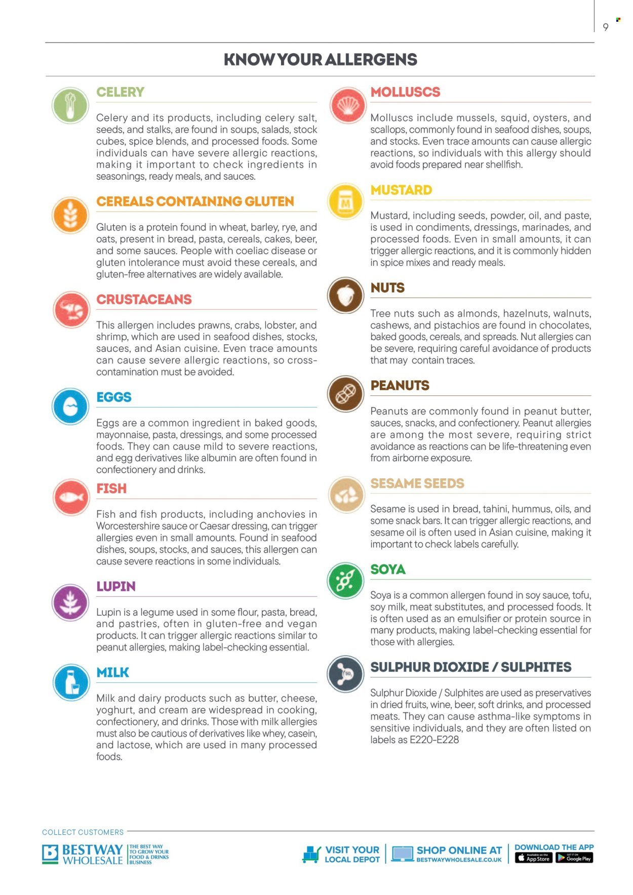 BESTWAY offer - Catering Range Guide (2025-09-01 - 2026-02-28) | 9