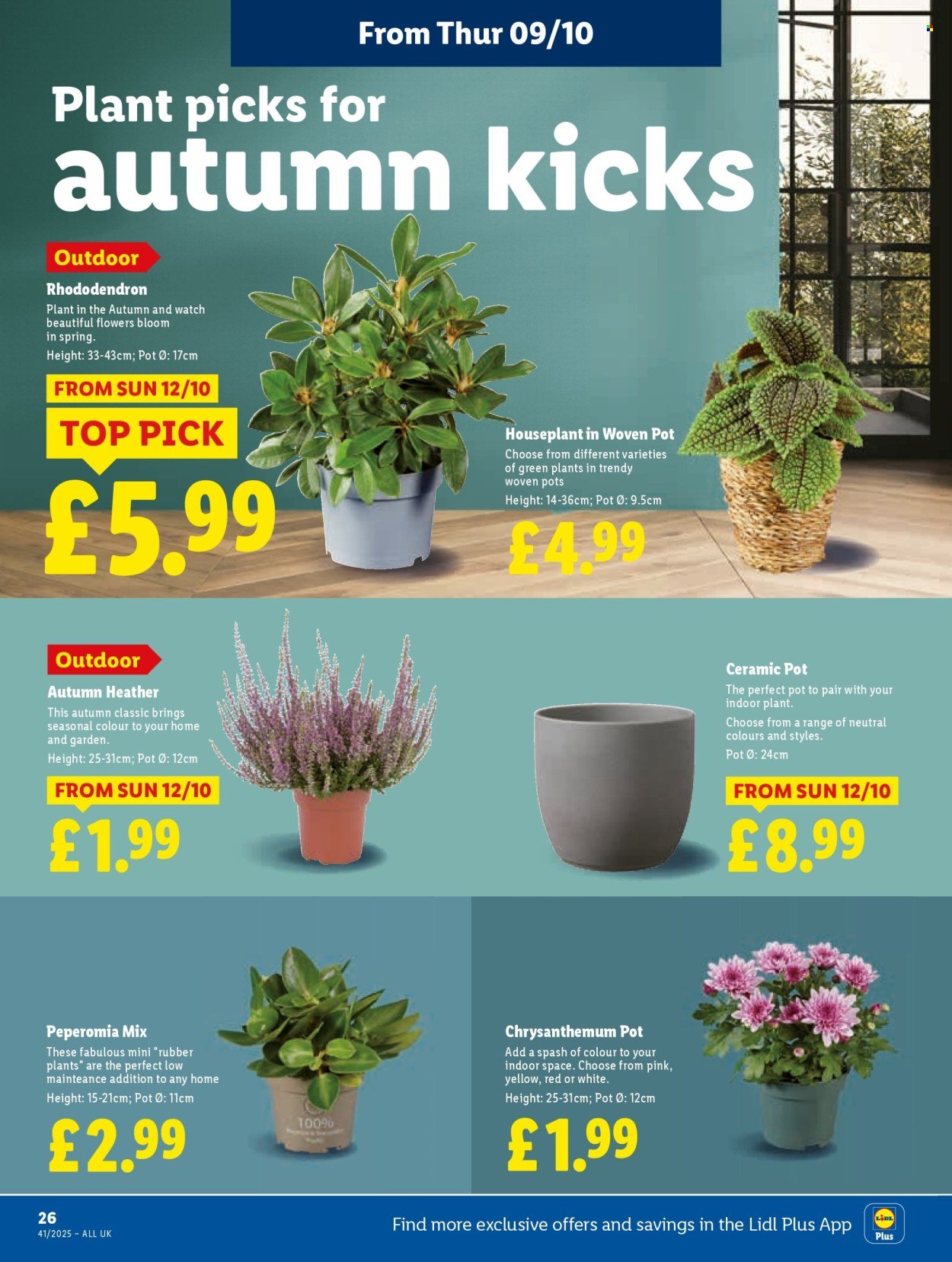 LIDL offer - Local Weekly Leaflet (2025-10-09 - 2025-10-15) | 26