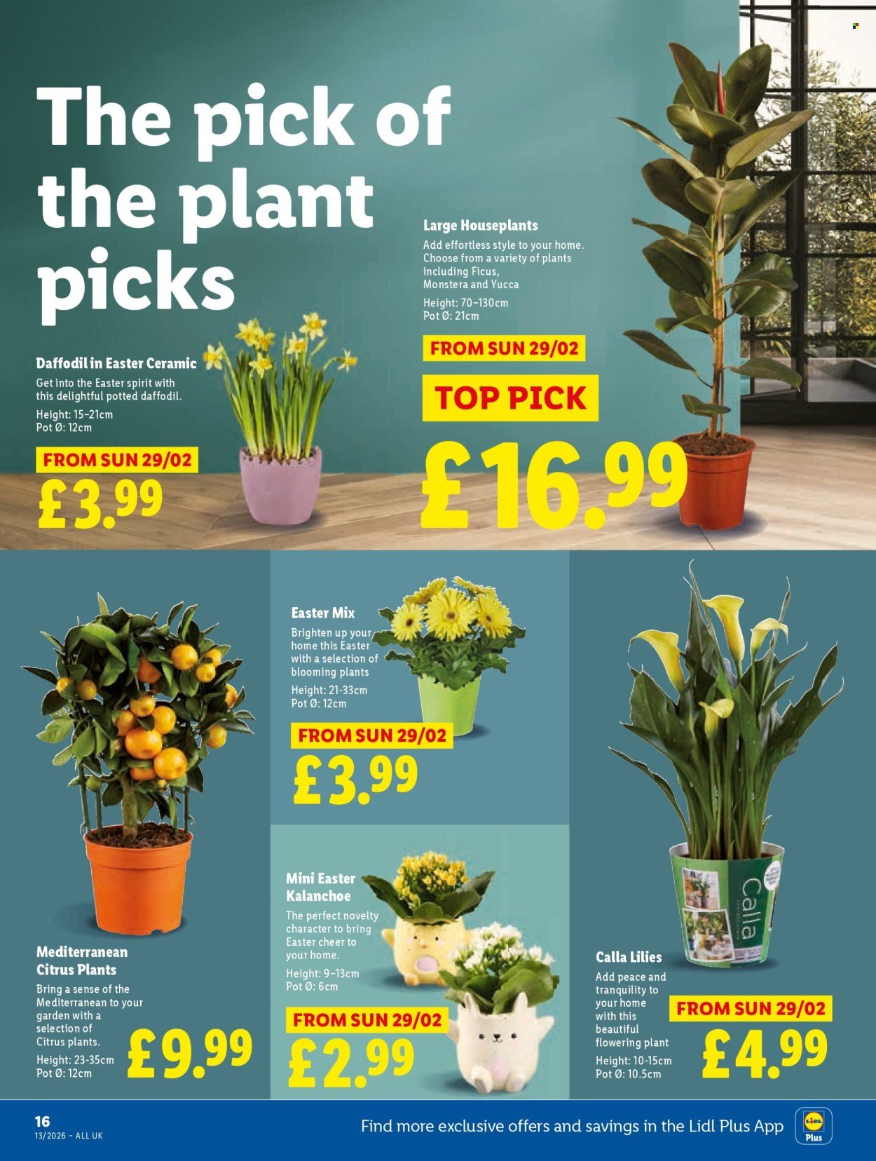 LIDL offer - Local Weekly Leaflet (2026-03-26 - 2026-04-01) | 18
