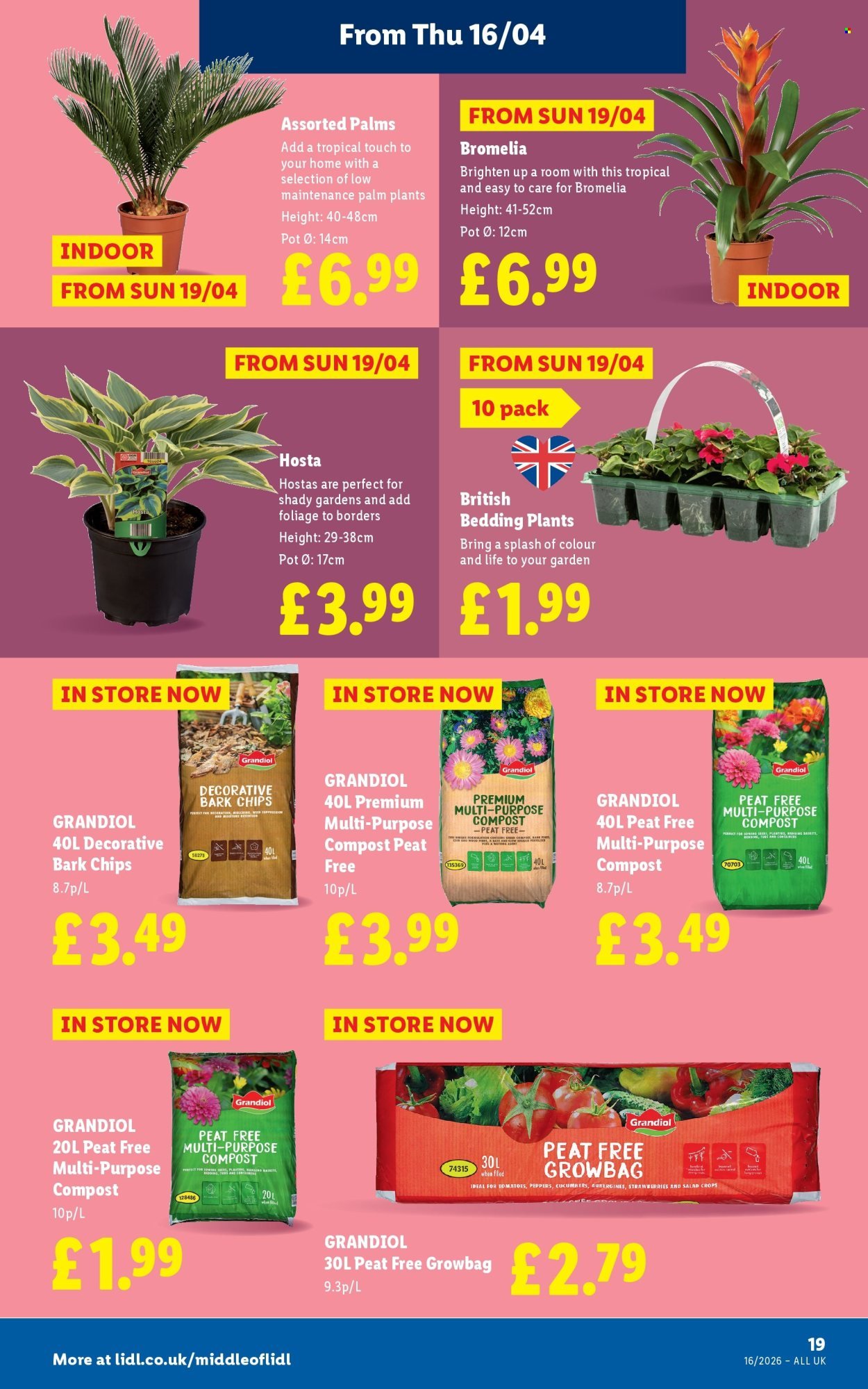 LIDL offer - Local Weekly Leaflet (2026-04-16 - 2026-04-22) | 21