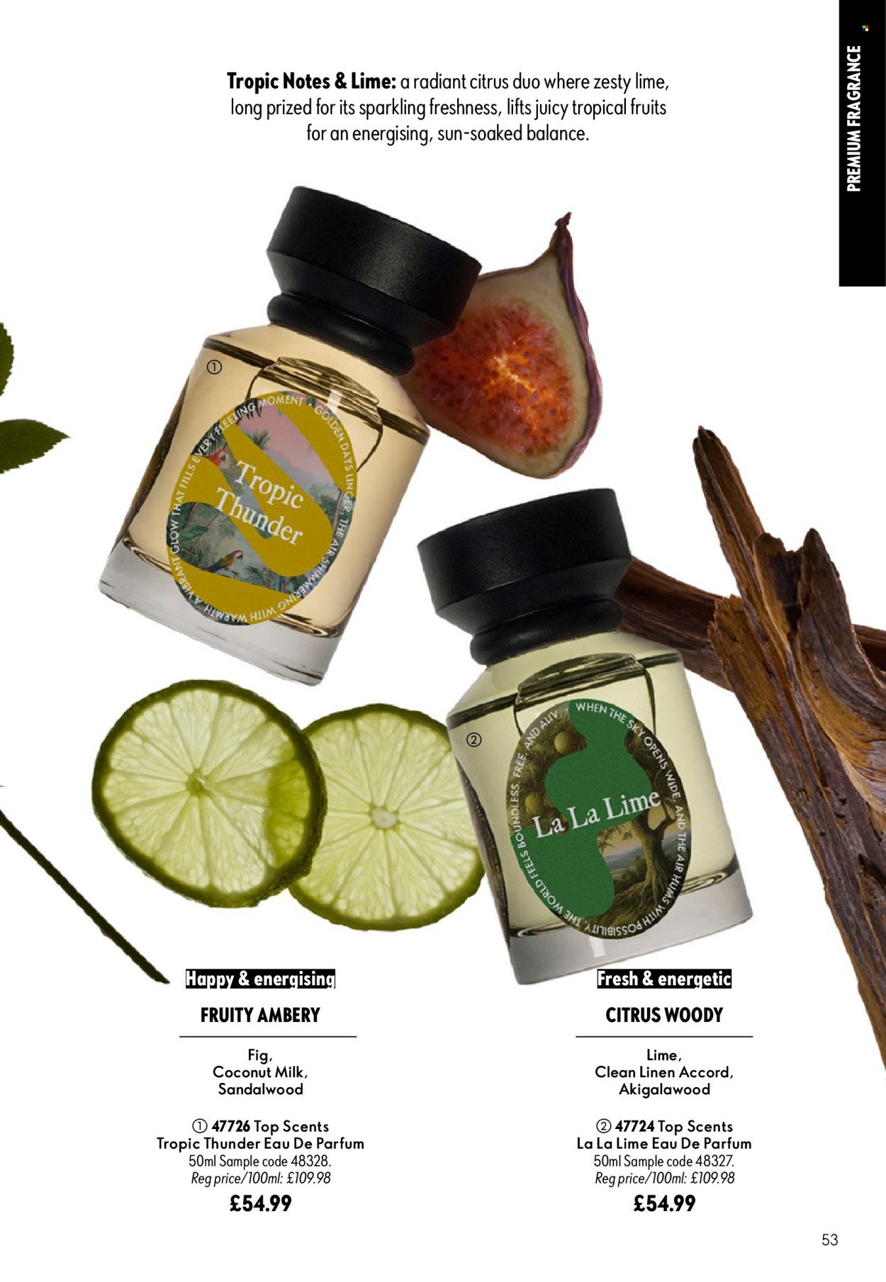 ORIFLAME offer - eCatalogue 13