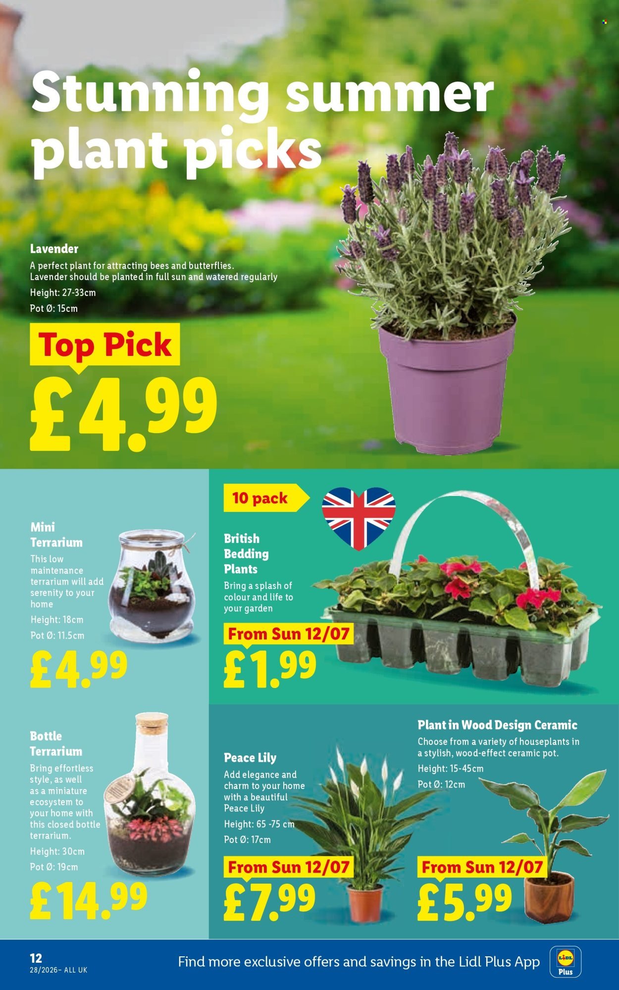 LIDL offer - Local Weekly Leaflet