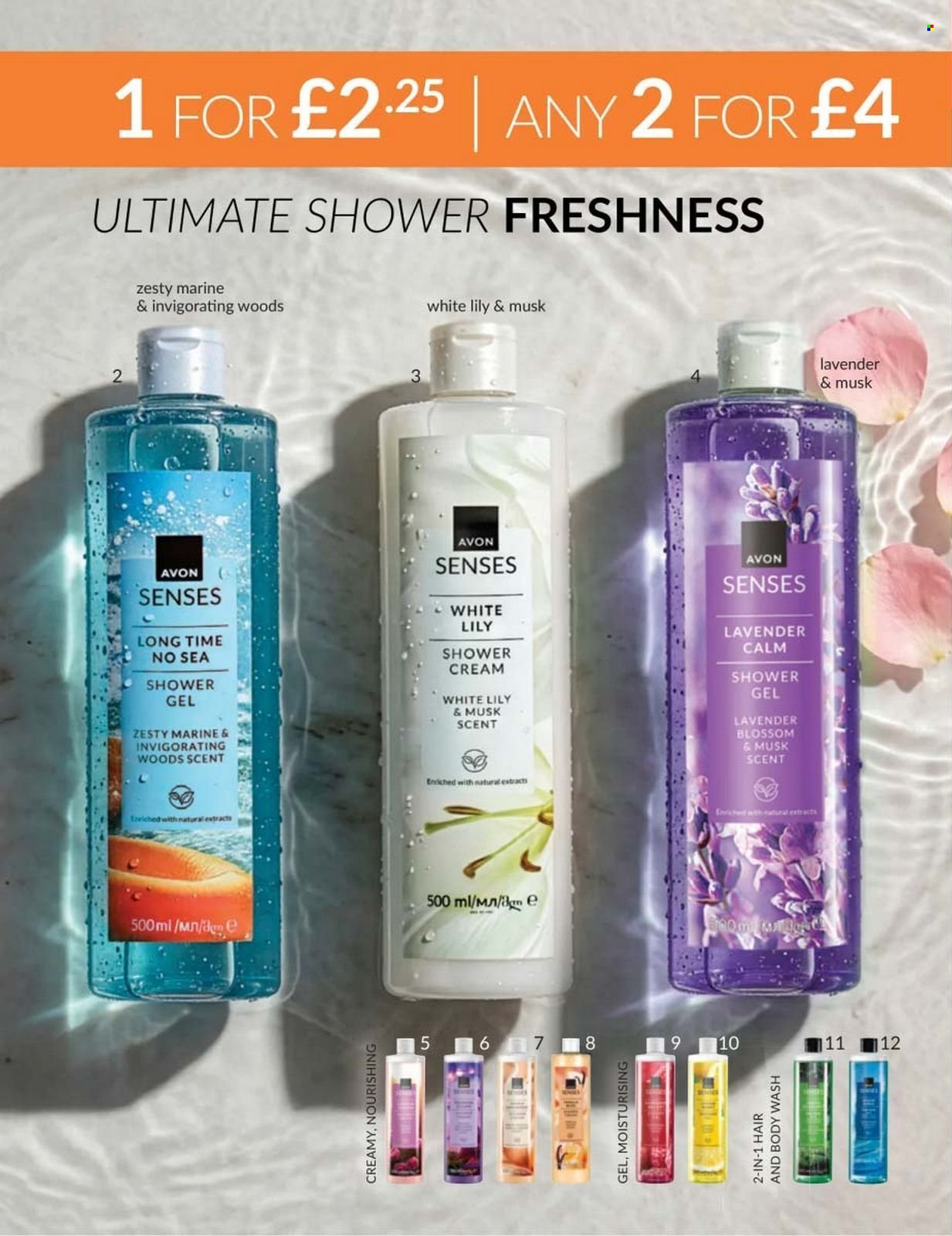 AVON offer - Campaign 8