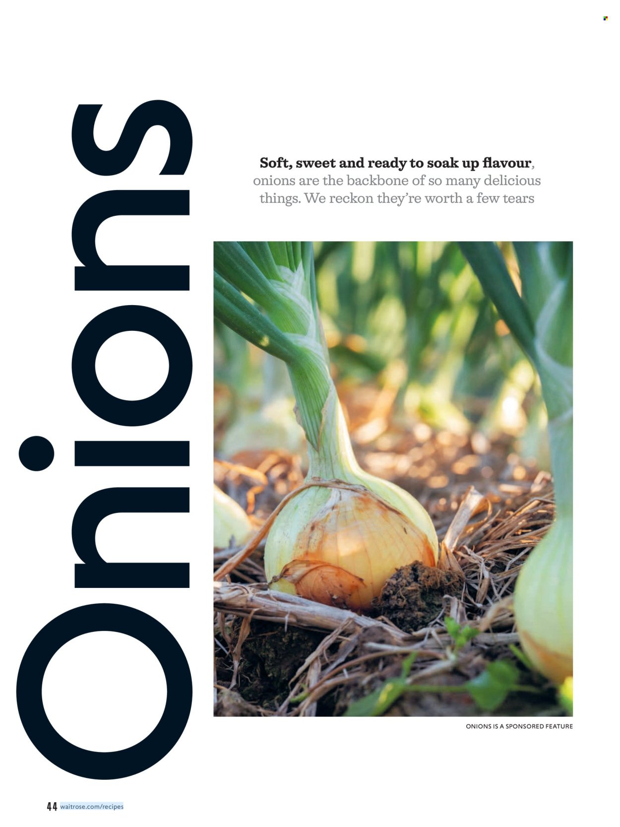 WAITROSE offer - October 2026