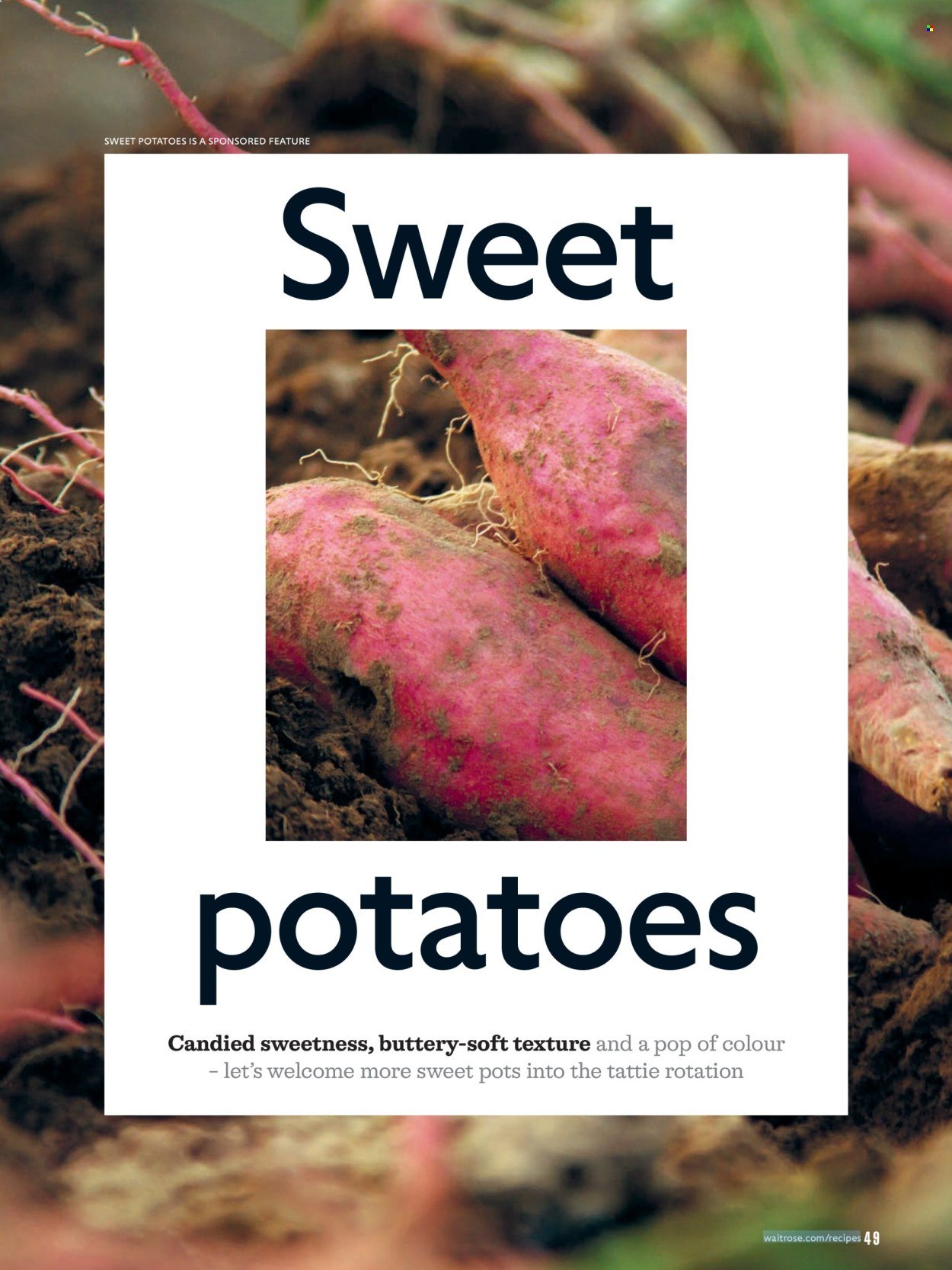 WAITROSE offer - October 2026