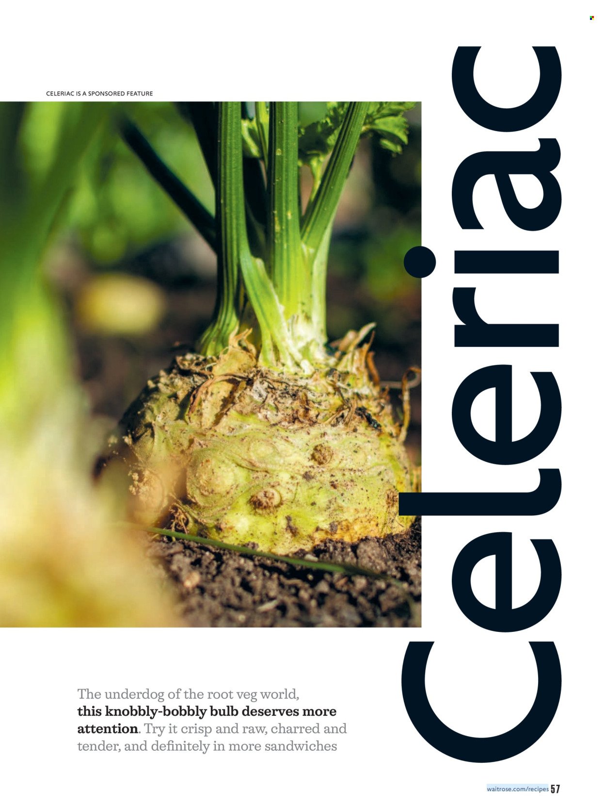 WAITROSE offer - October 2026