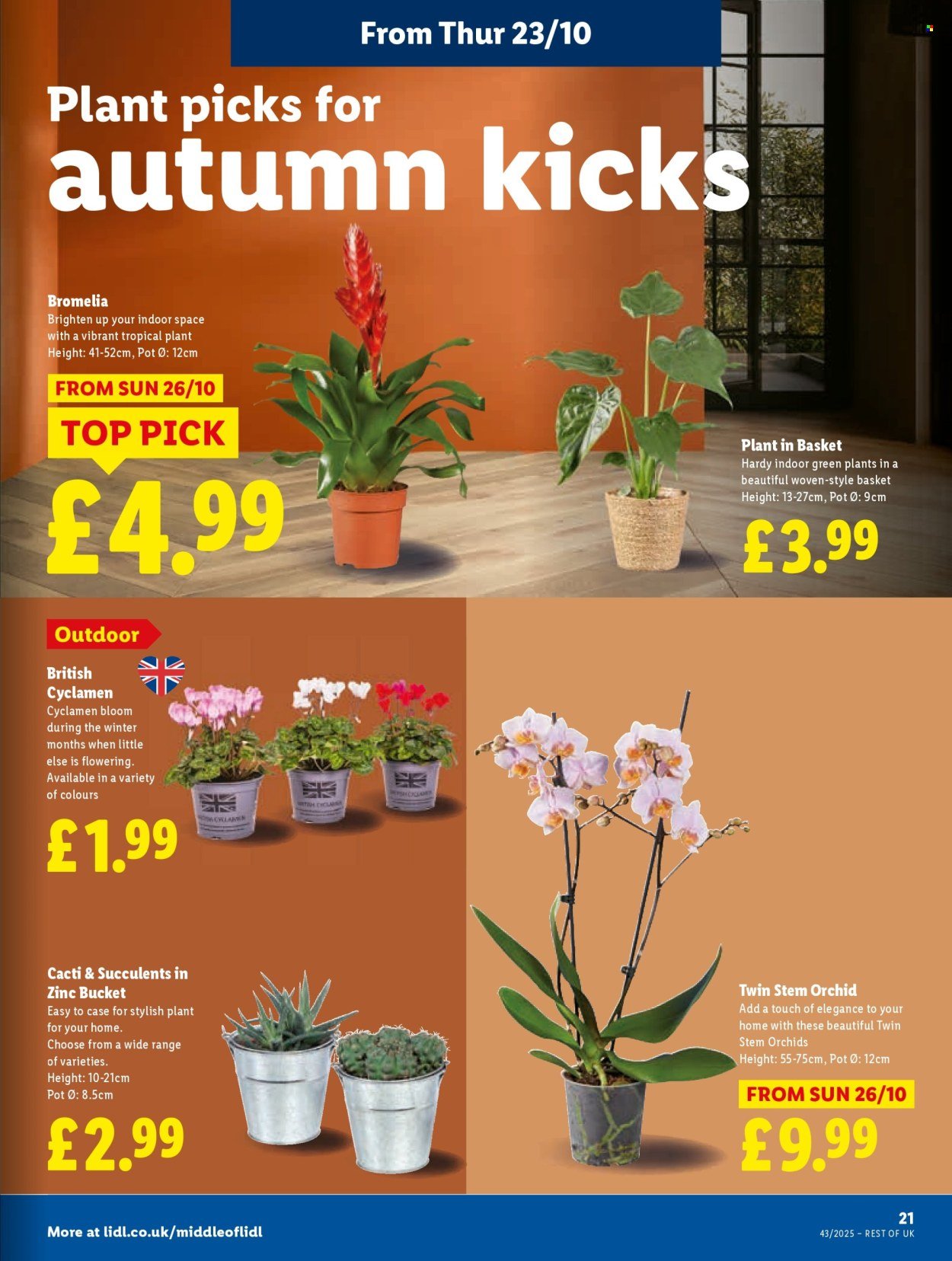 LIDL offer - Local Weekly Leaflet (2025-10-23 - 2025-10-29) | 21