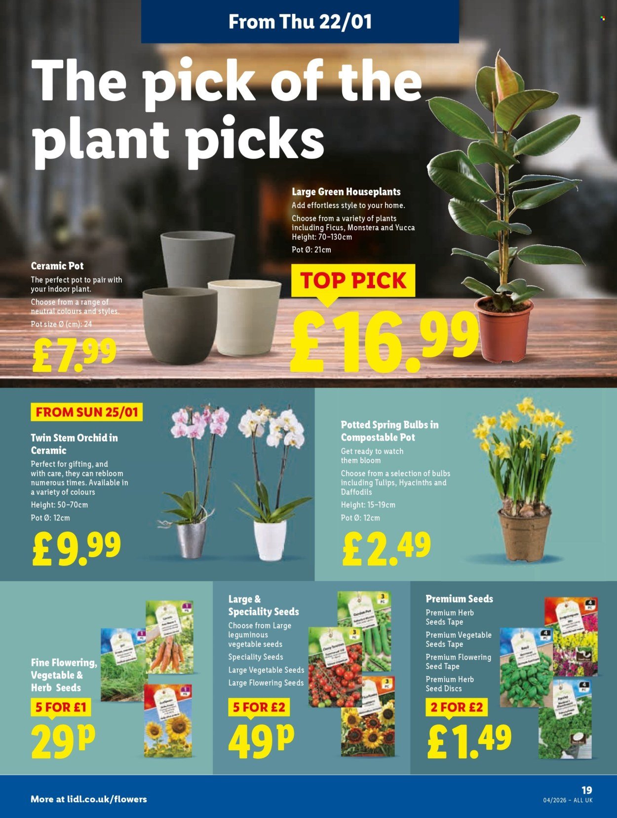 LIDL offer - Local Weekly Leaflet (2026-01-22 - 2026-01-28) | 21