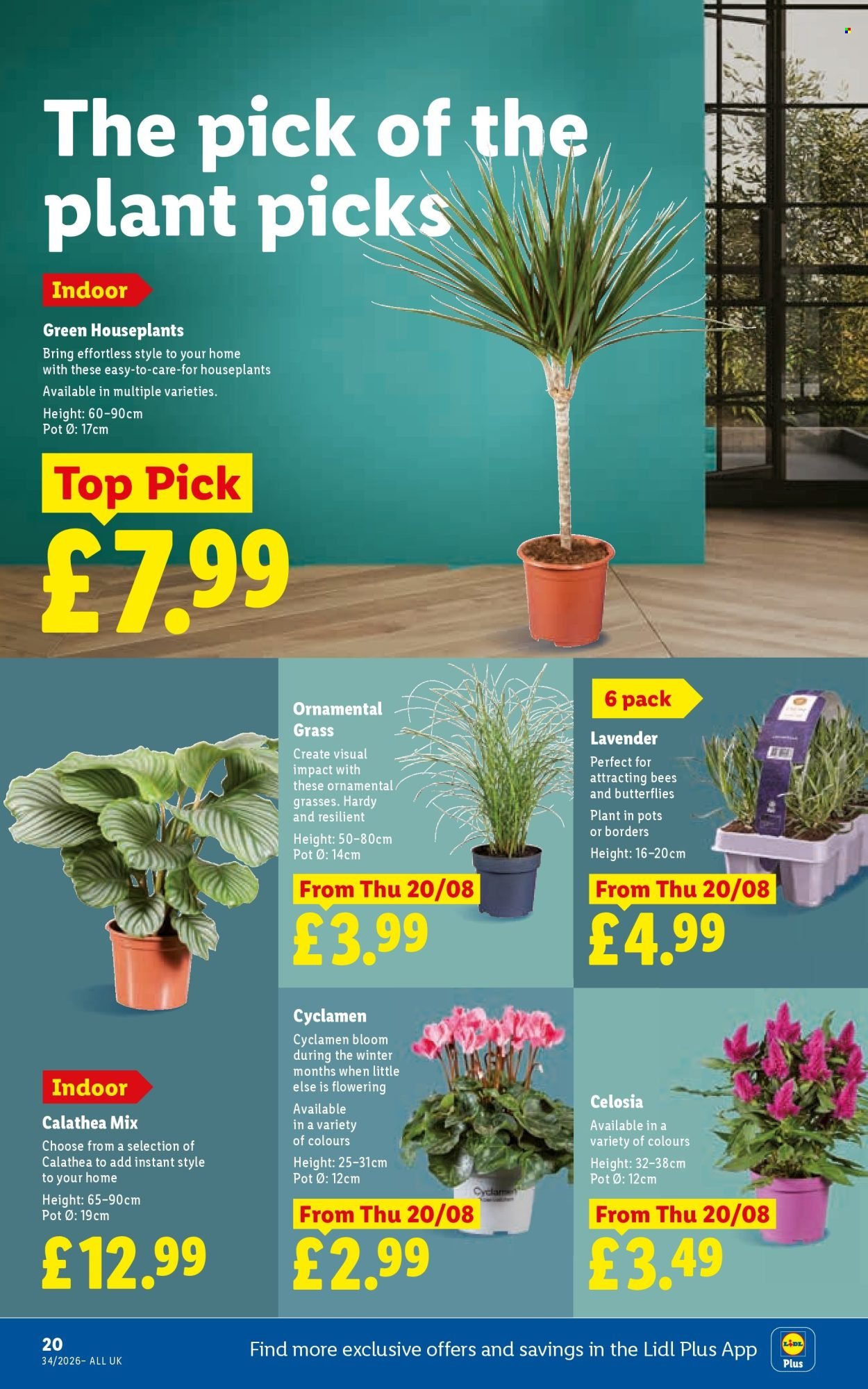 LIDL offer - Local Weekly Leaflet