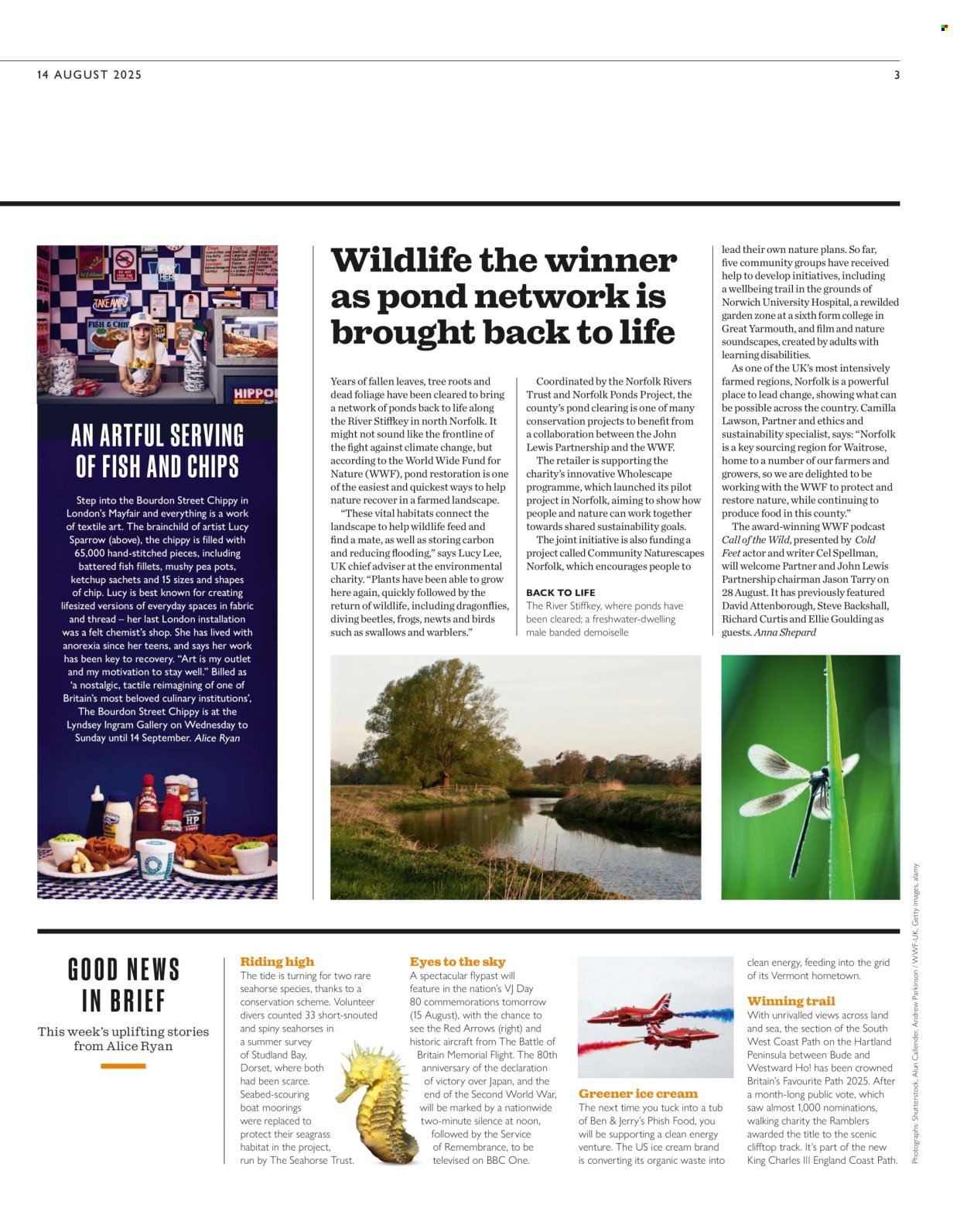 WAITROSE offer - Weekend (2025-08-16 - 2025-08-26) | 3